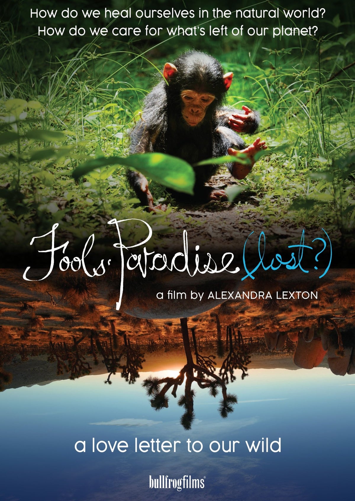 Fools' Paradise (lost?) (DVD)