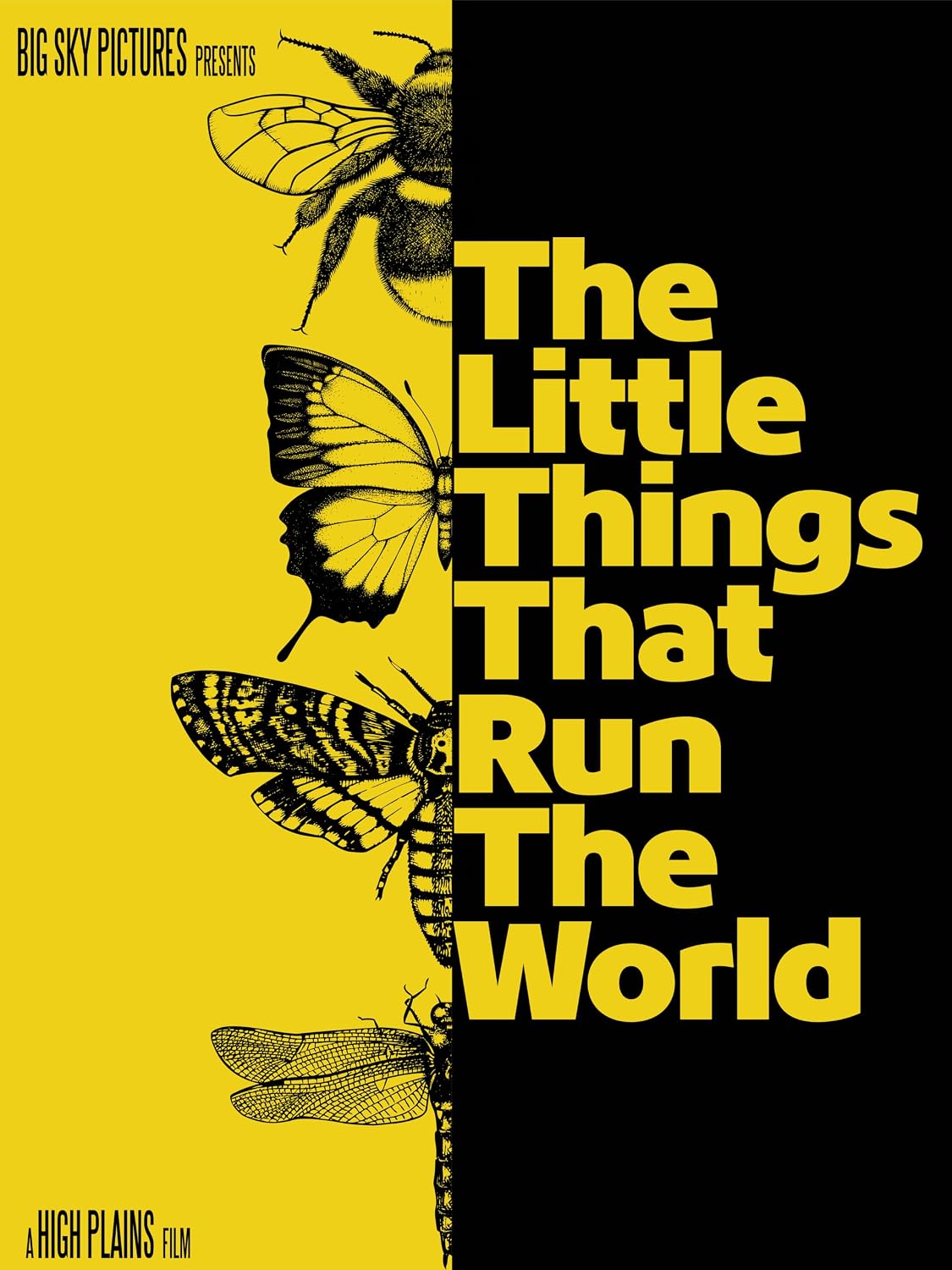 The Little Things That Run the World (Blu-ray) PREORDER