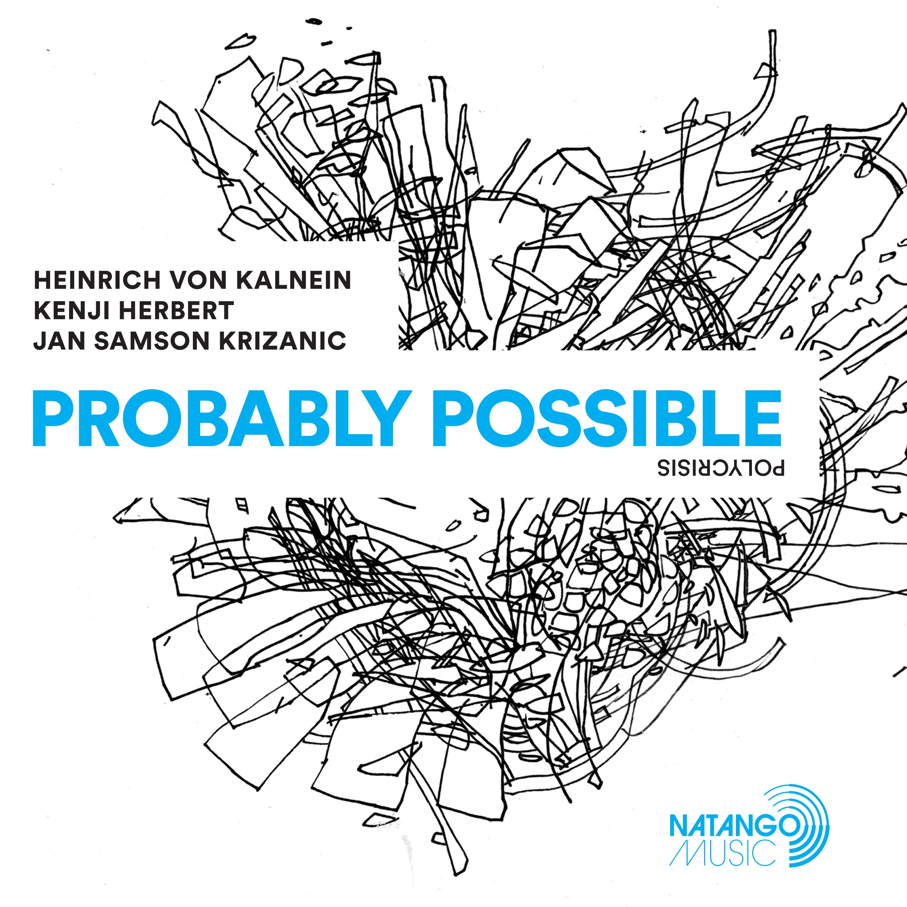 Heinrich von Kalnein - Probably Possible (LP)