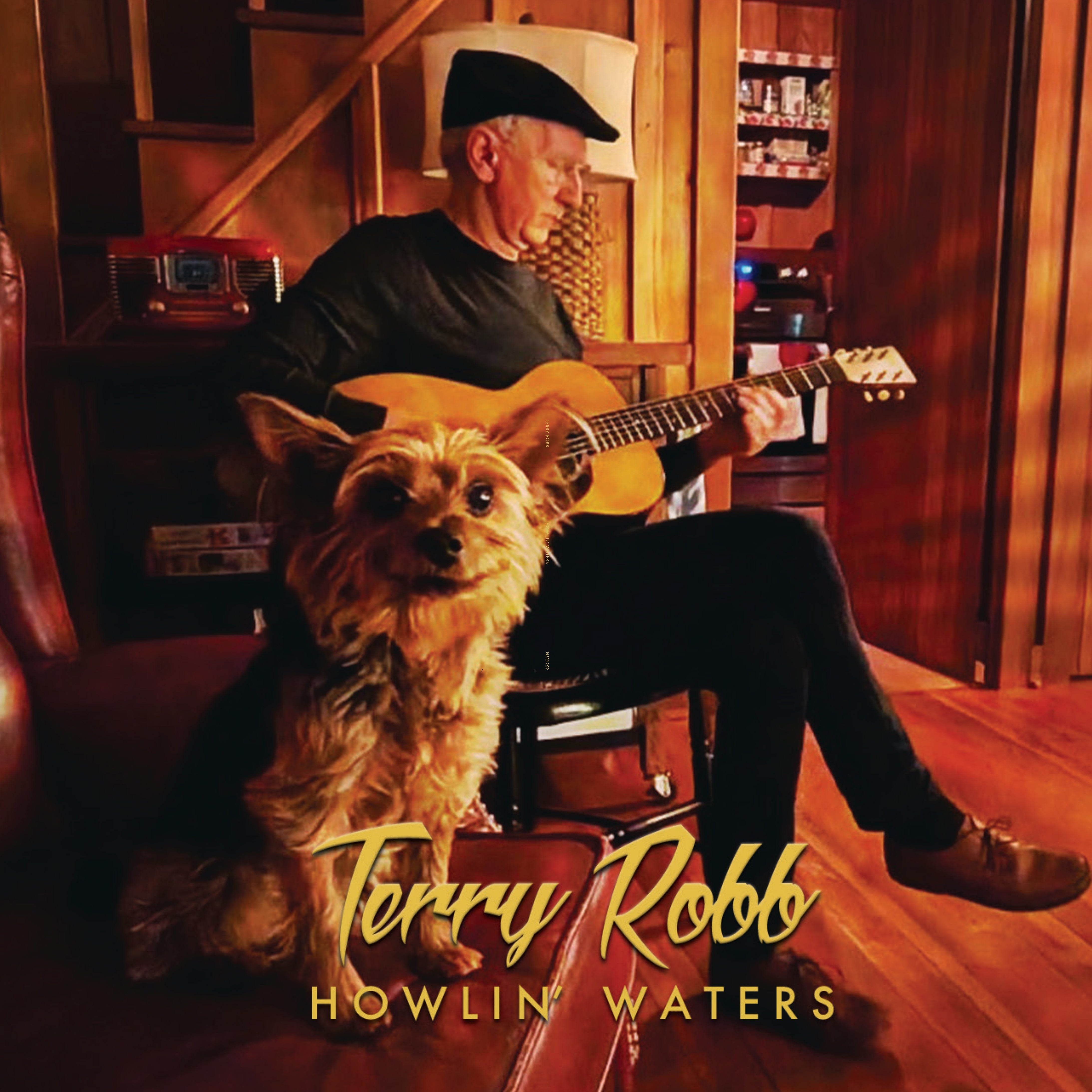Terry Robb - Howlin' Waters (CD)