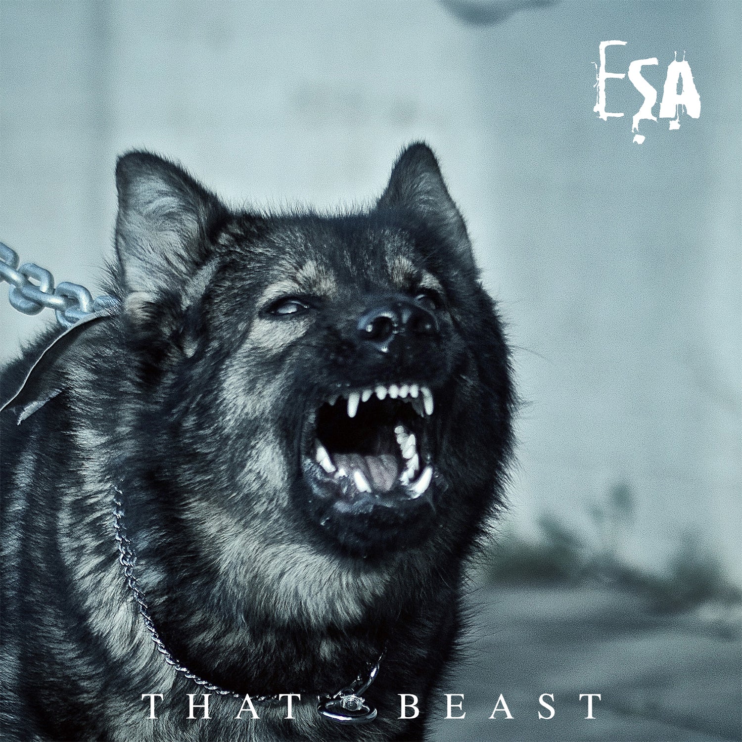 ESA - That Beast (CD)