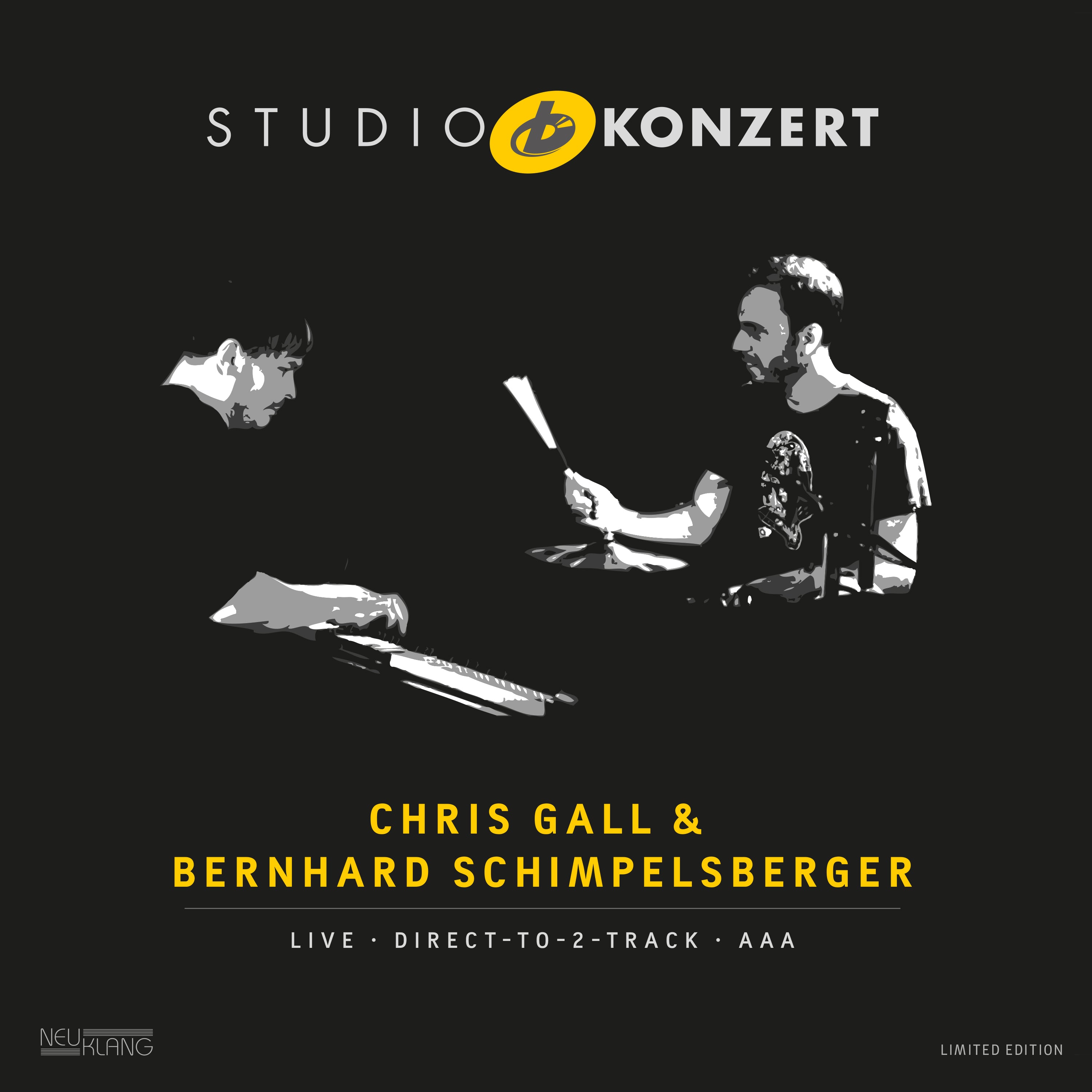 Chris Gall & Bernhard Schimpelsberger - Studio Konzert (LP)