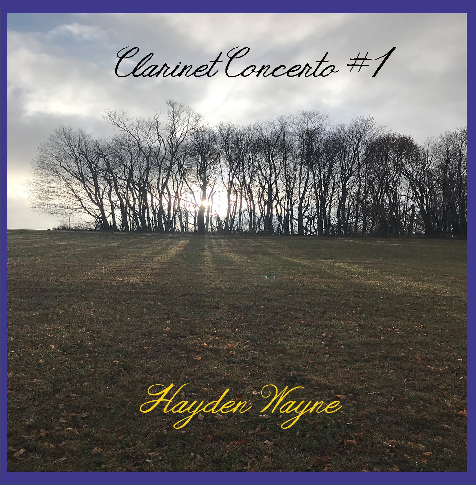 Hayden Wayne - Clarinet Concerto #1 (CD)