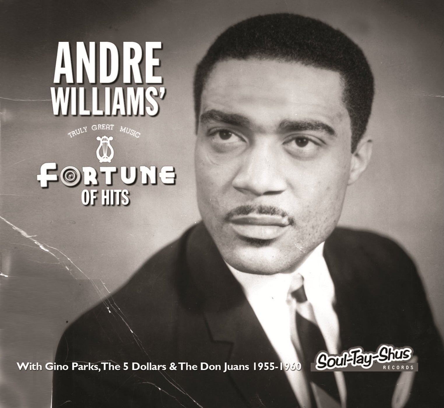 Andre Williams - A Fortune of Hits (CD)