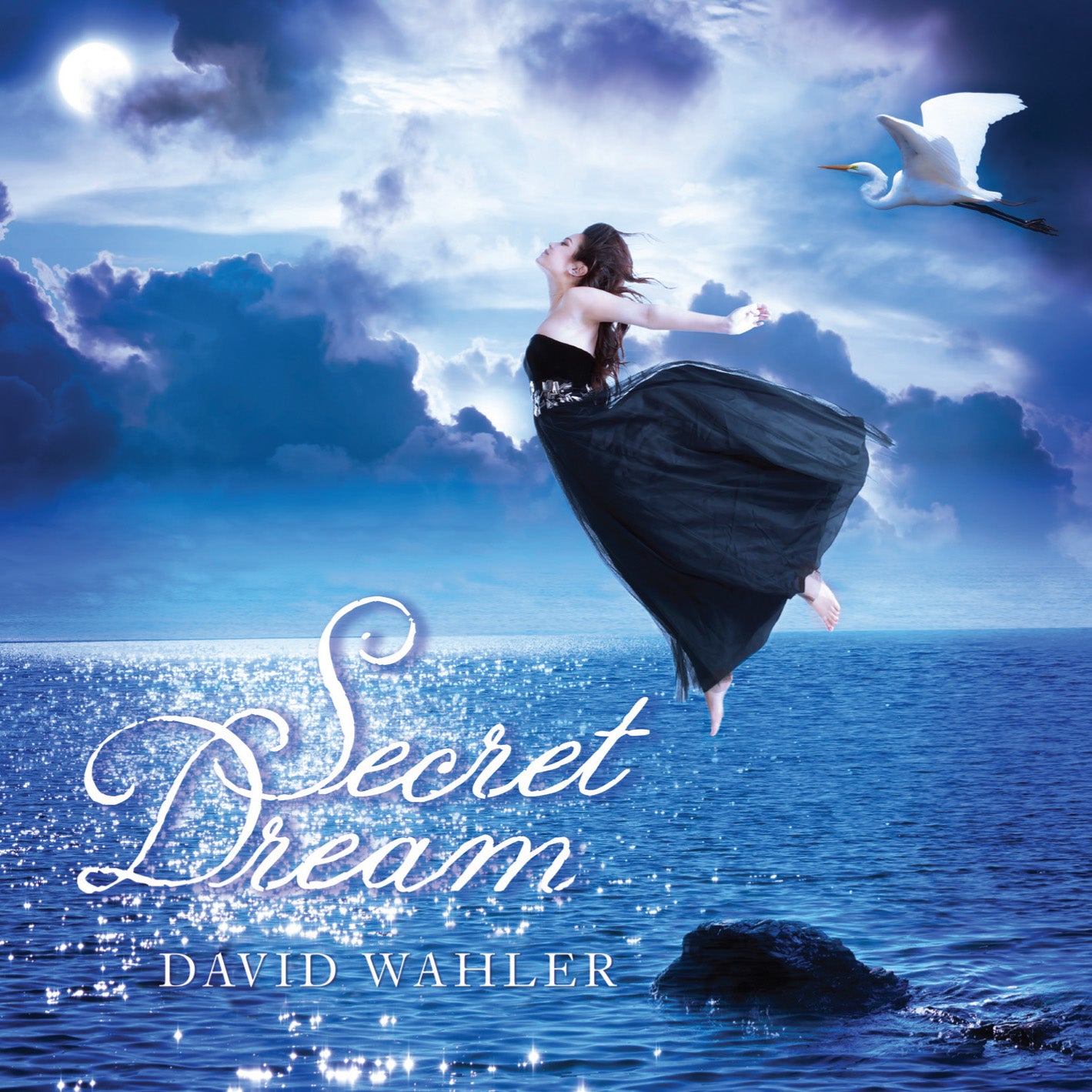 David Wahler - Secret Dream (CD)