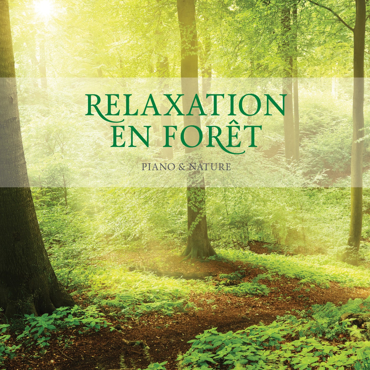 Stuart Jones - Relaxation En Foret (CD)