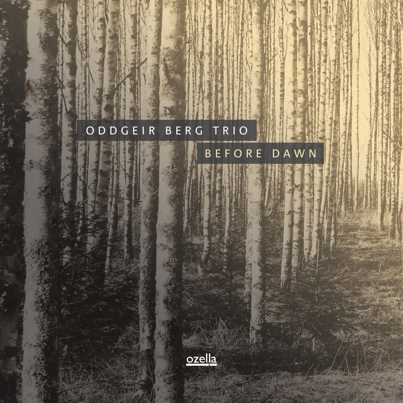 Oddgeir Berg Trio - Before Dawn (CD)
