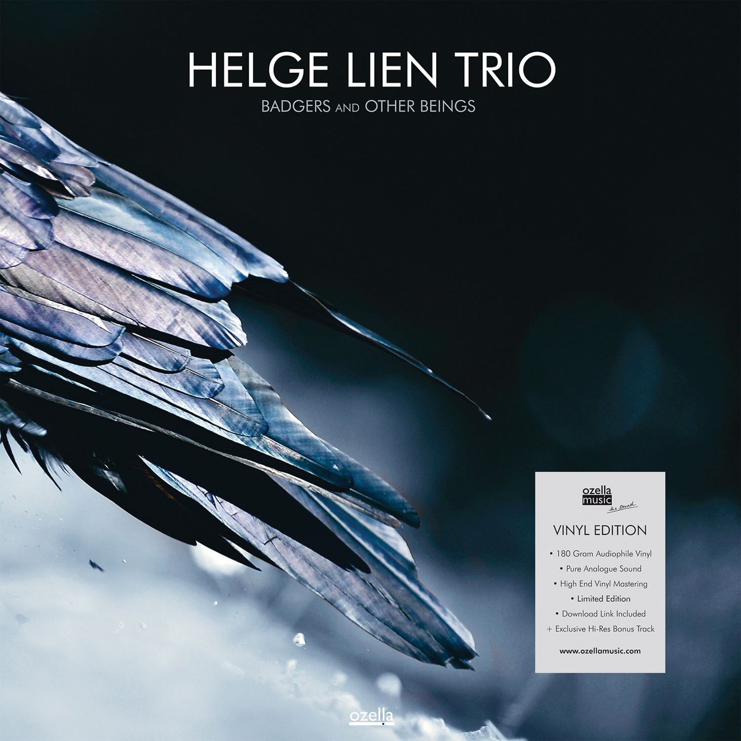 Helge Lien Trio - Badgers and Other Beings (LP)