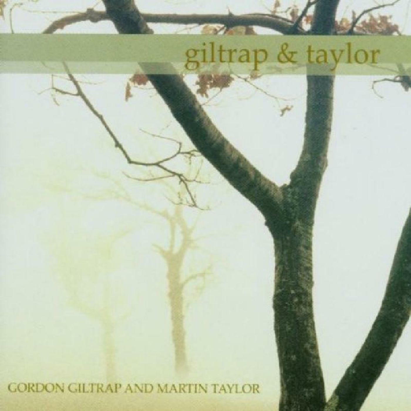 Martin Taylor & Gordon Giltrap - Giltrap & Taylor (CD)