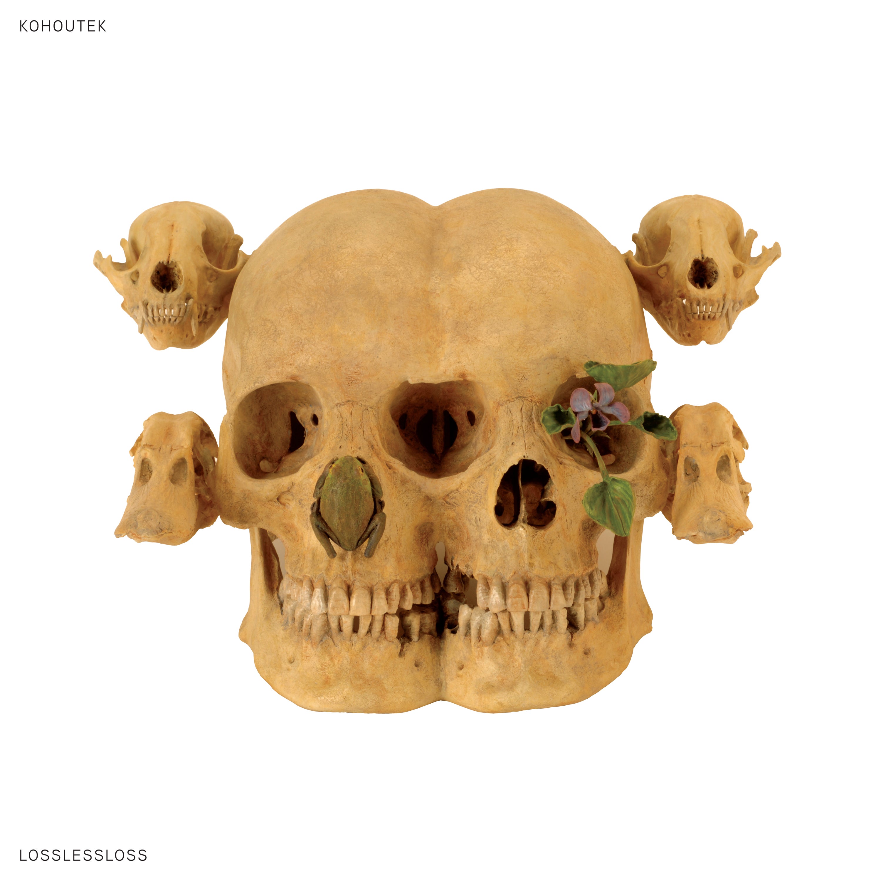 Kohoutek - Lossless Loss (LP)