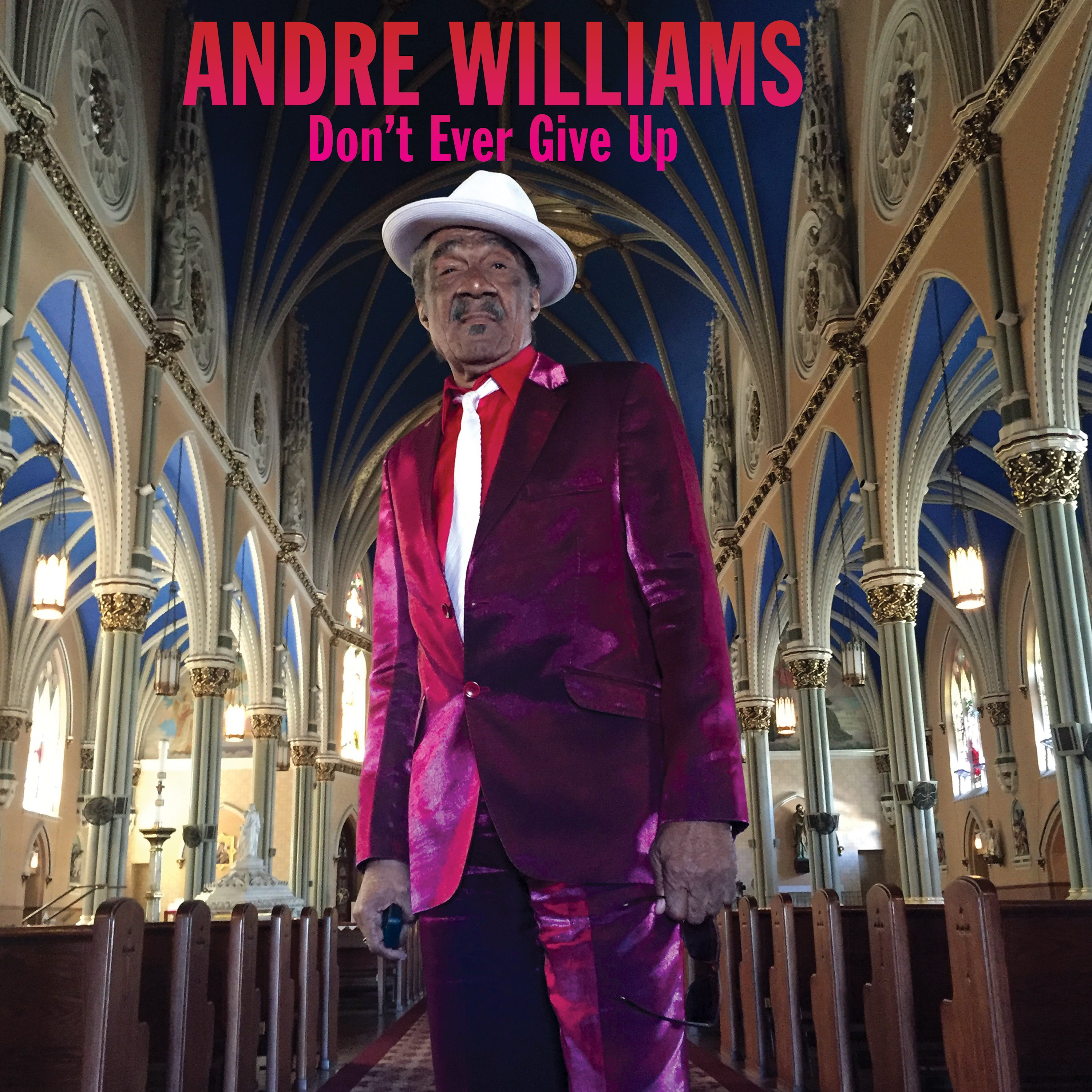 Andre Williams - Don’t Ever Give Up (LP)
