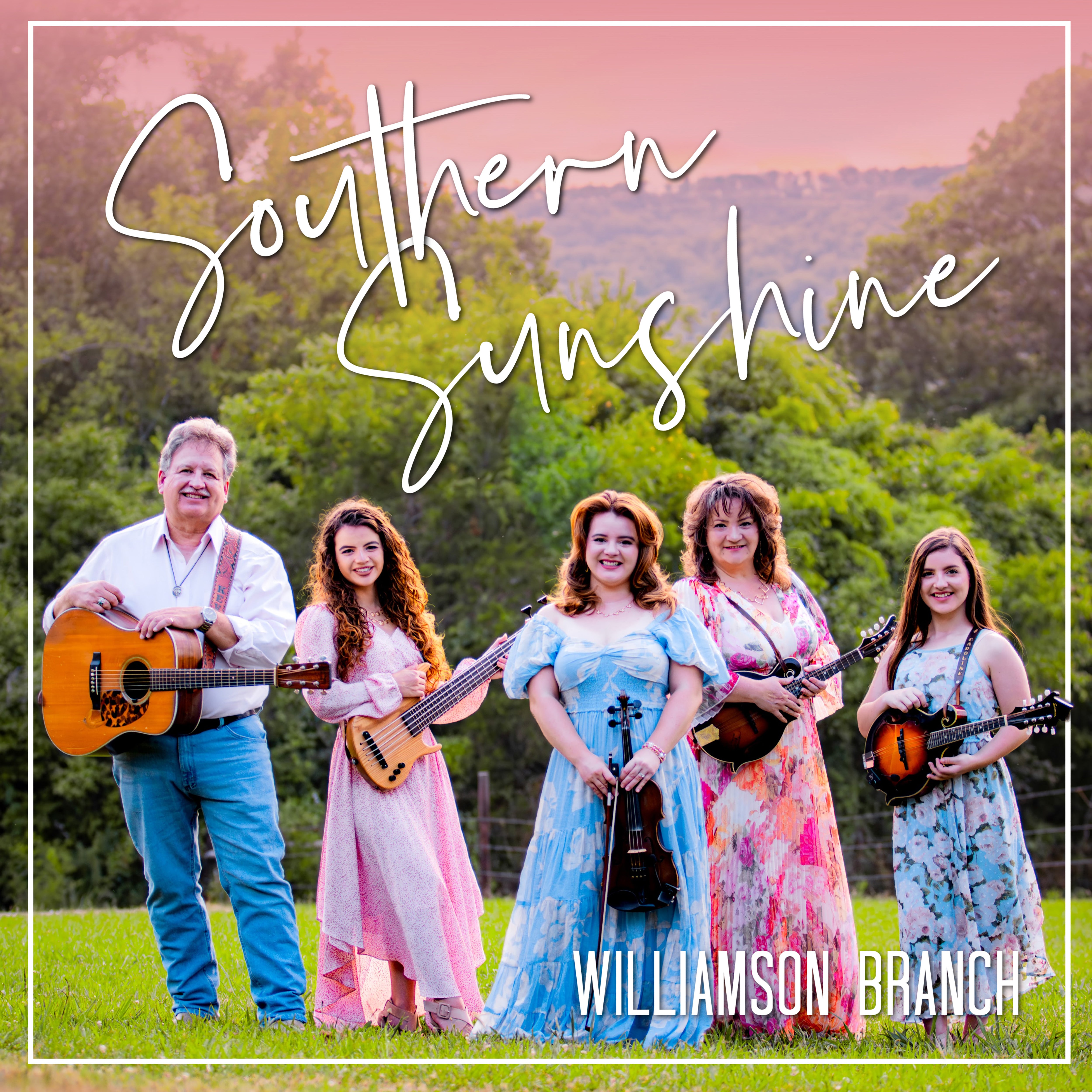 Williamson Branch - Southern Sunshine (CD)