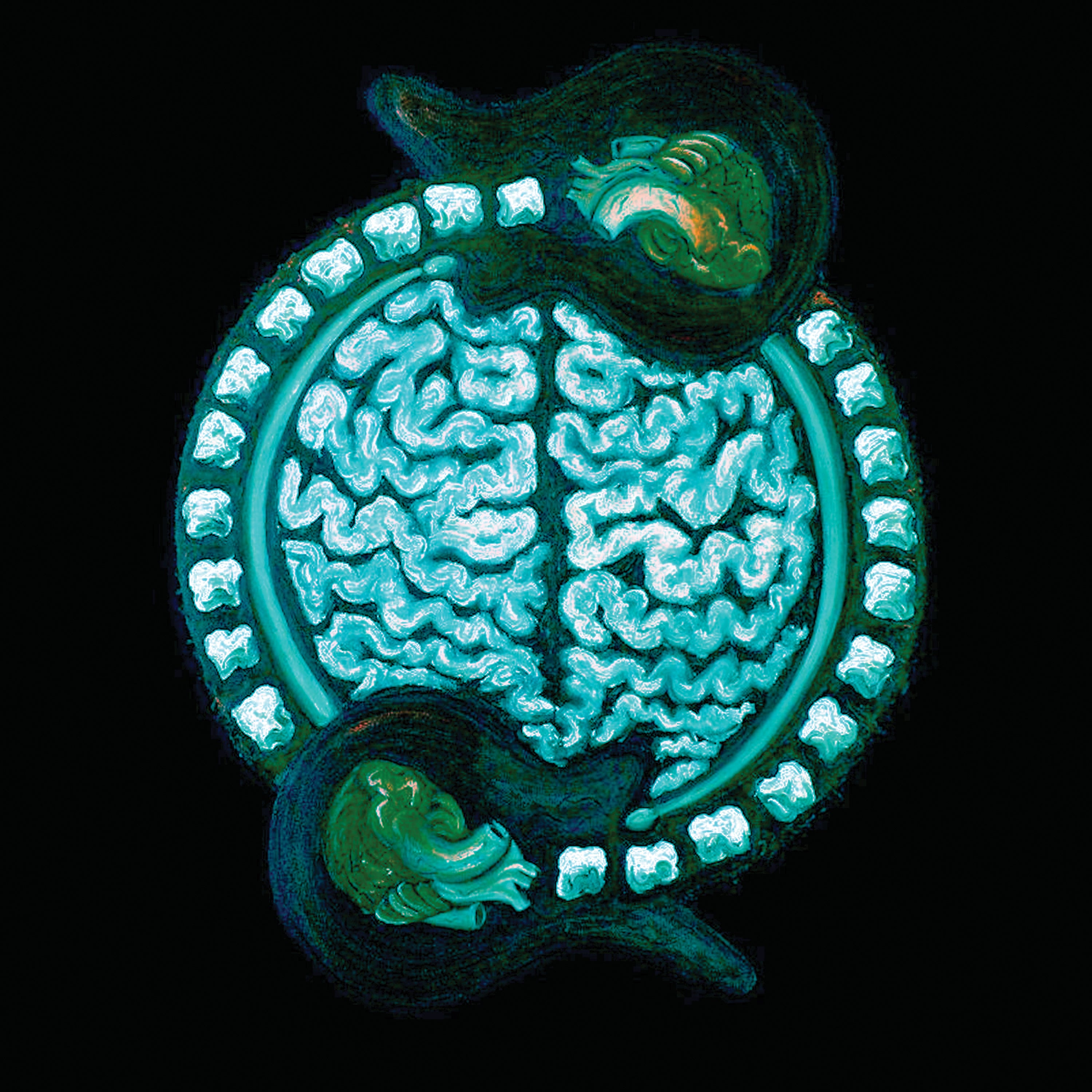 Opusculus - Consonant (CD)