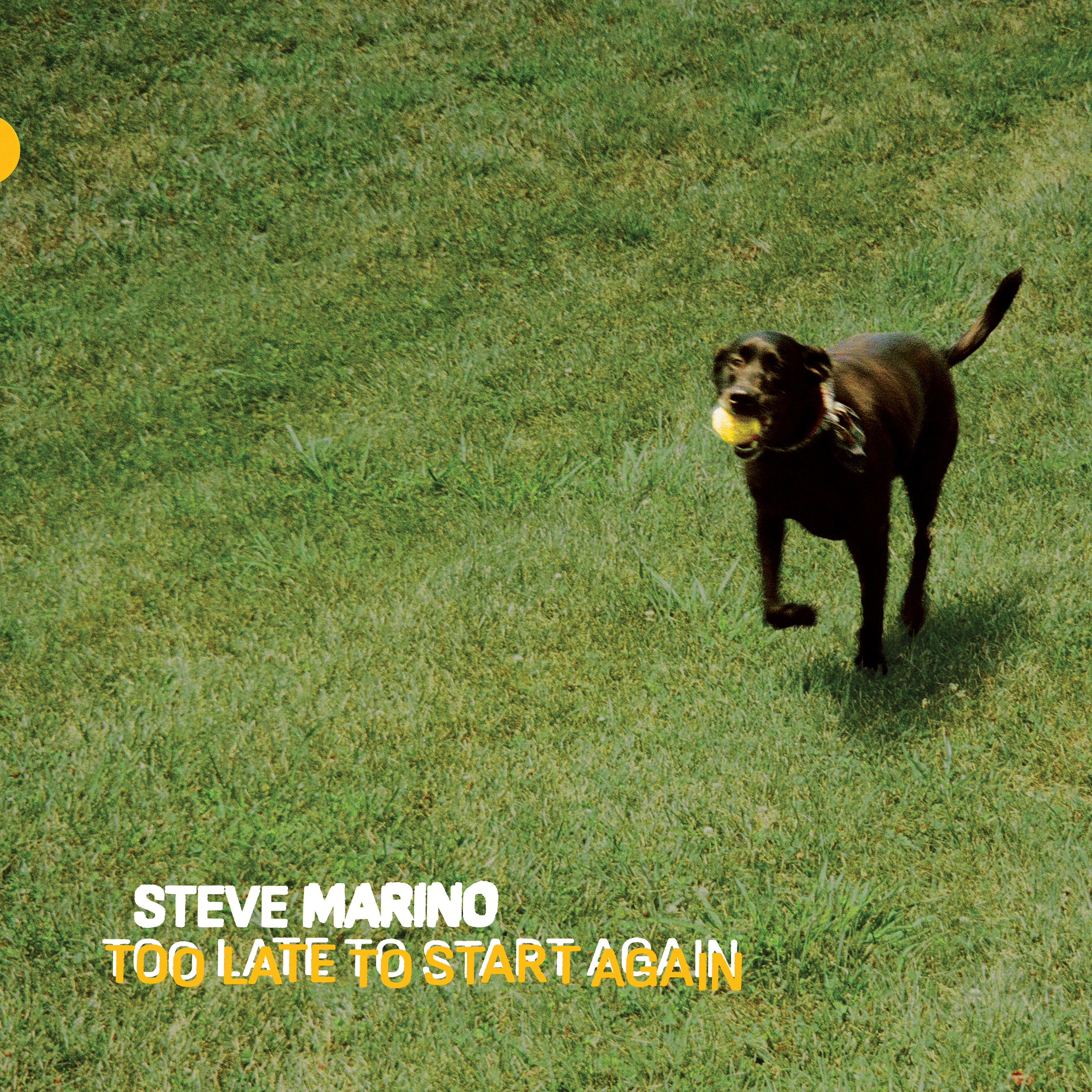 Steve Marino - Too Late To Start Again (LP)