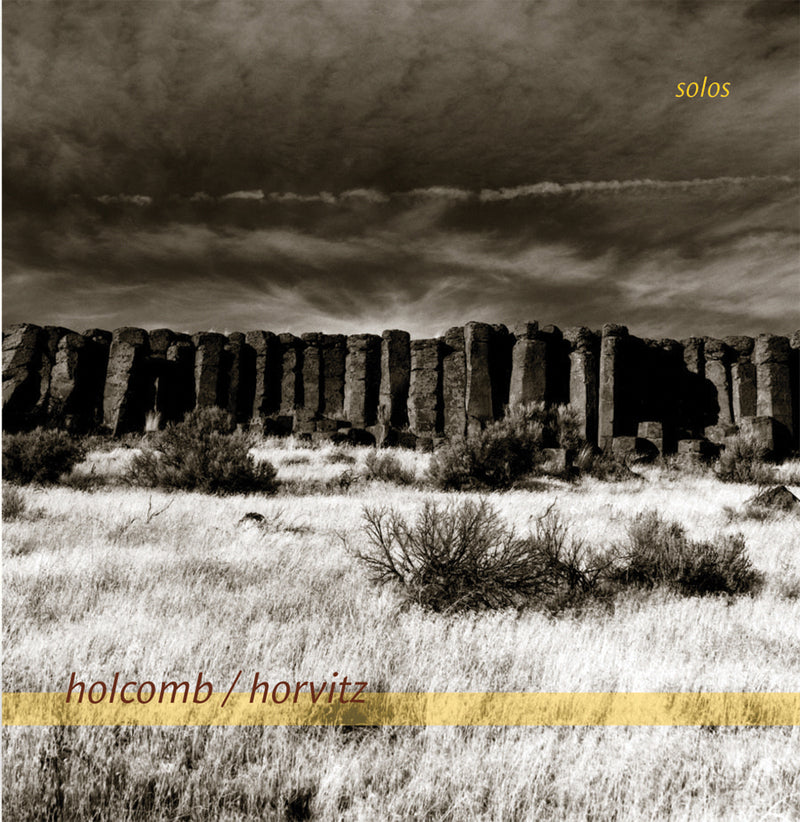 Robin  Holcomb & Wayne Horvit - Solos  (CD)