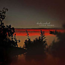 Darshan Ambient - Little Things (CD)