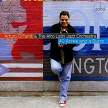 Arturo O'farrill & Afro Latin Orchest - 40 Acres And A Burro (CD)