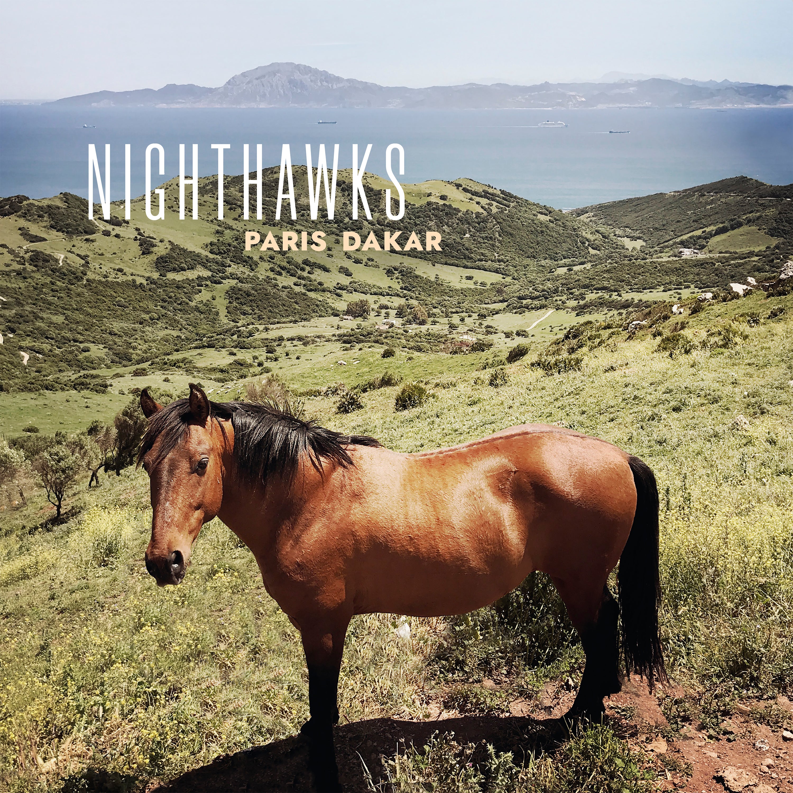 Nighthawks - Paris Dakar (LP)