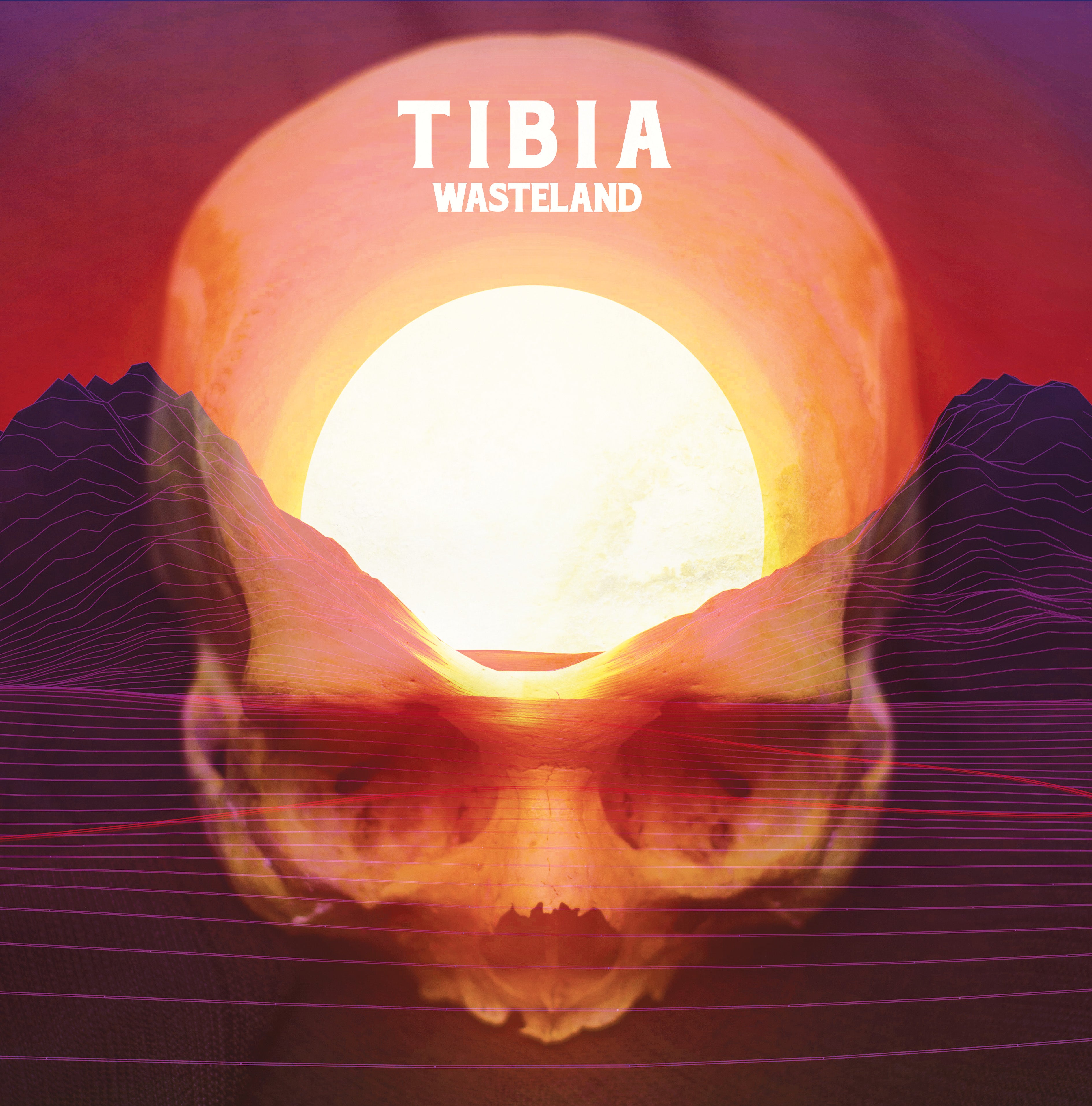 Tibia - Wasteland (LP)