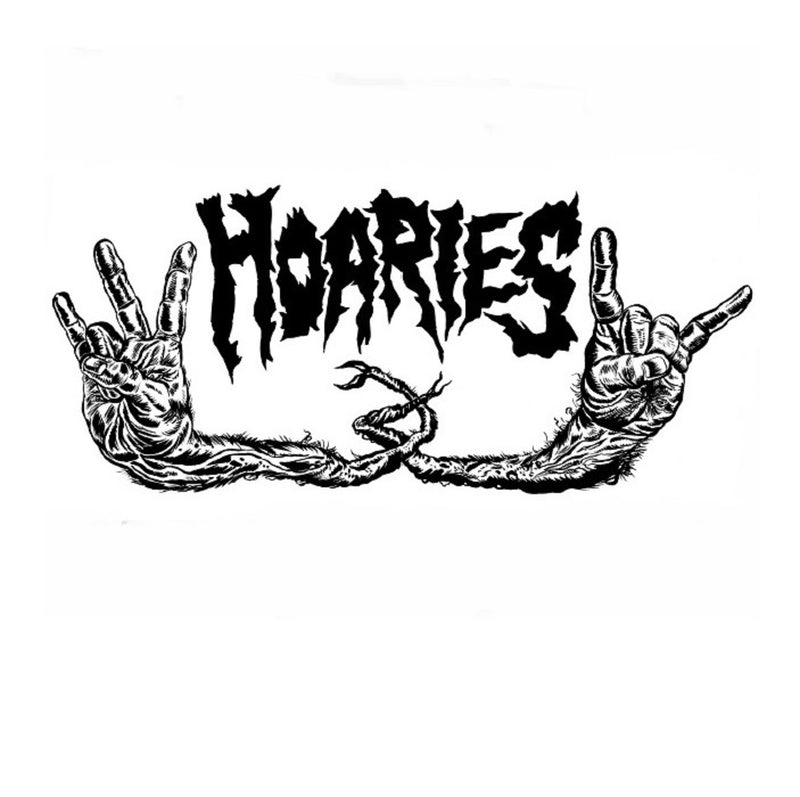 Hoaries - Rocker Shocker (LP)