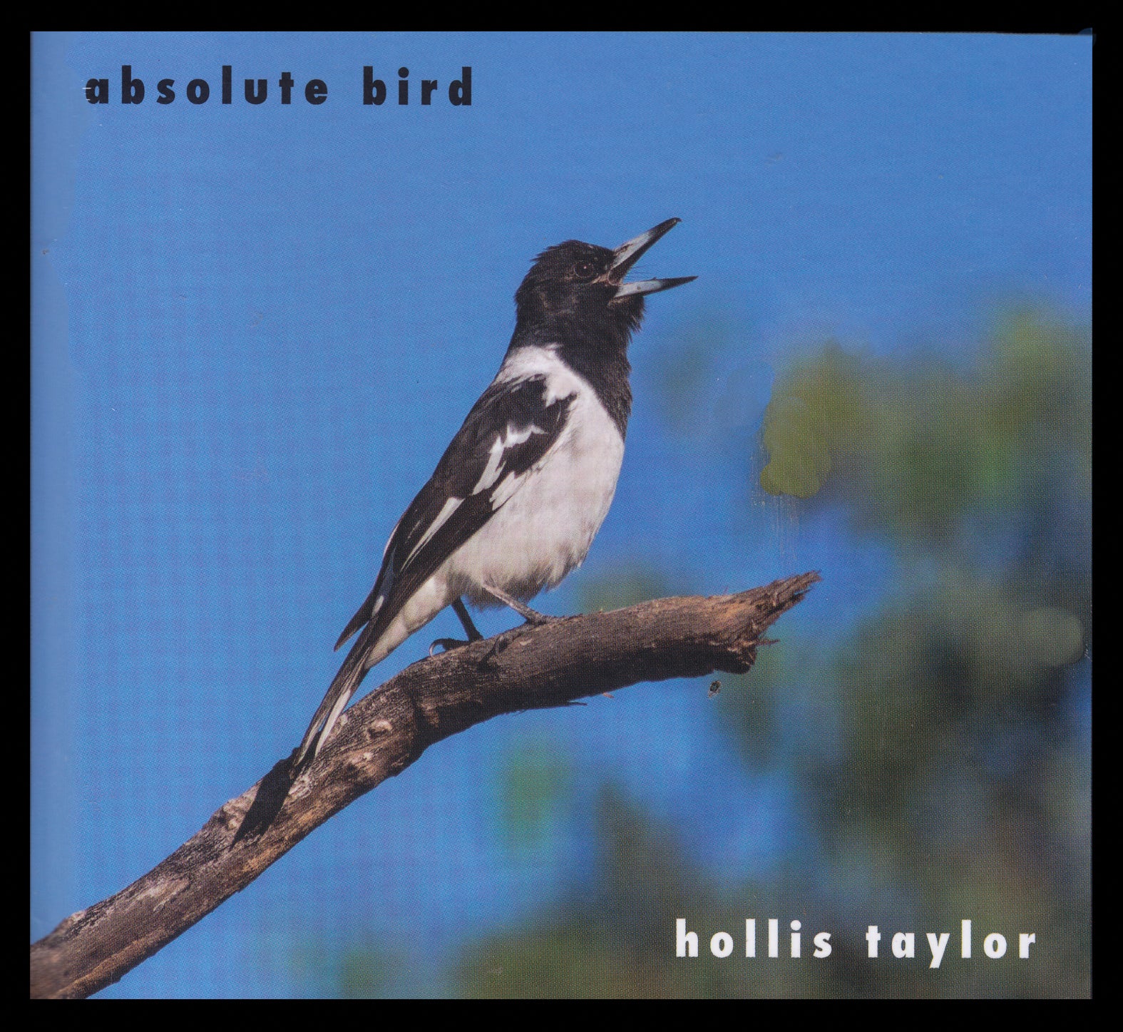 Hollis Taylor - Absolute Bird (CD)