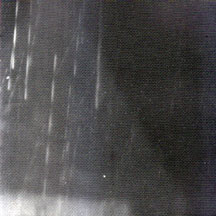 Peter Cusack - Where Is The Green Parrot? (CD)