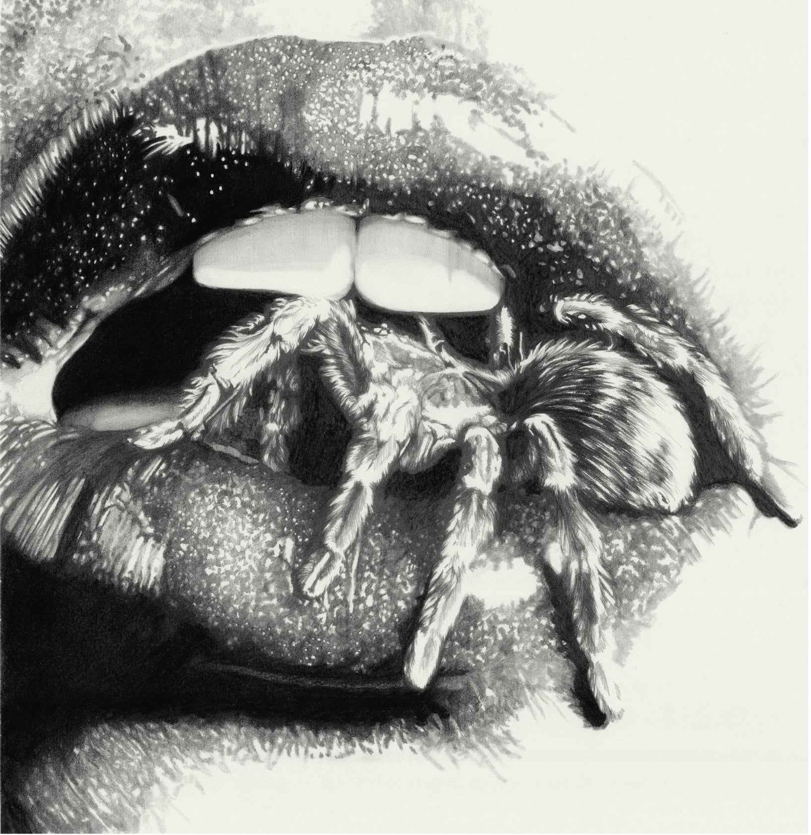 Masheena - Let The Spiders In (LP)