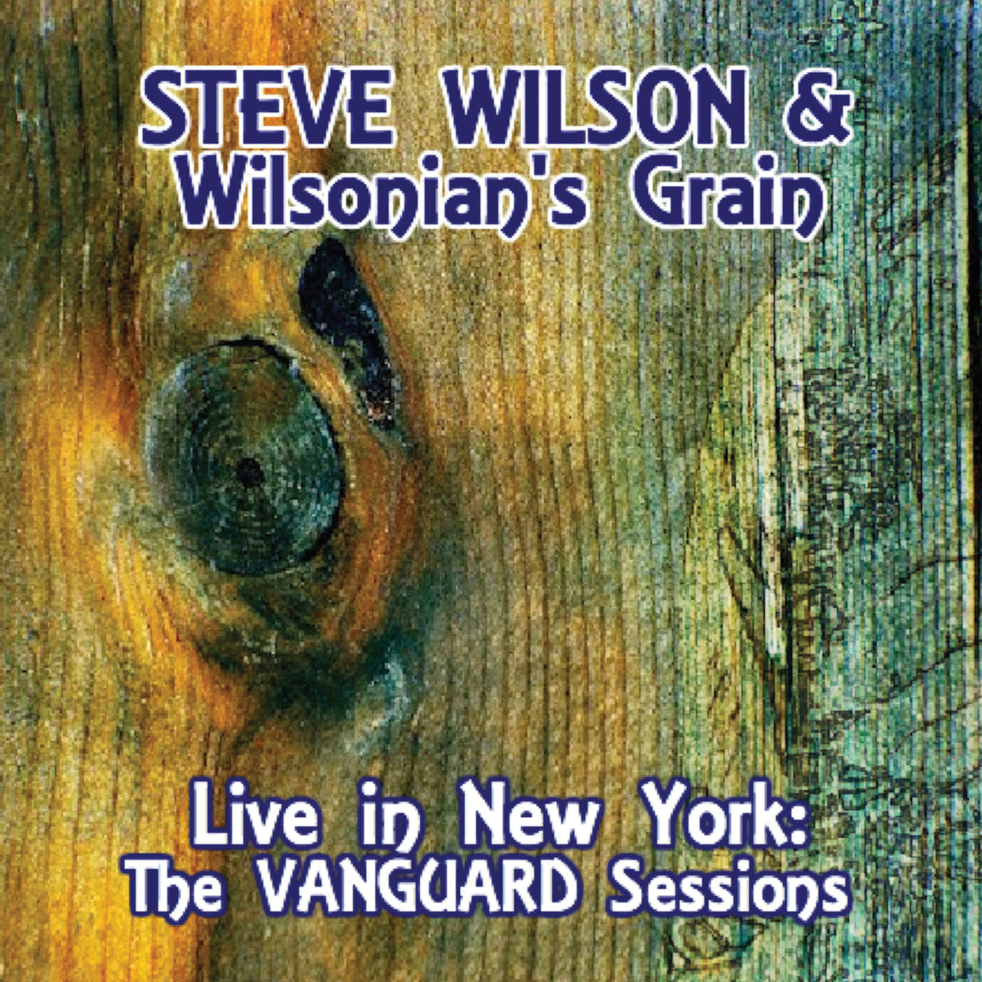 Steve Wilson & Wilsonian's Grain - Live In New York: The Vanguard Sessions (CD)