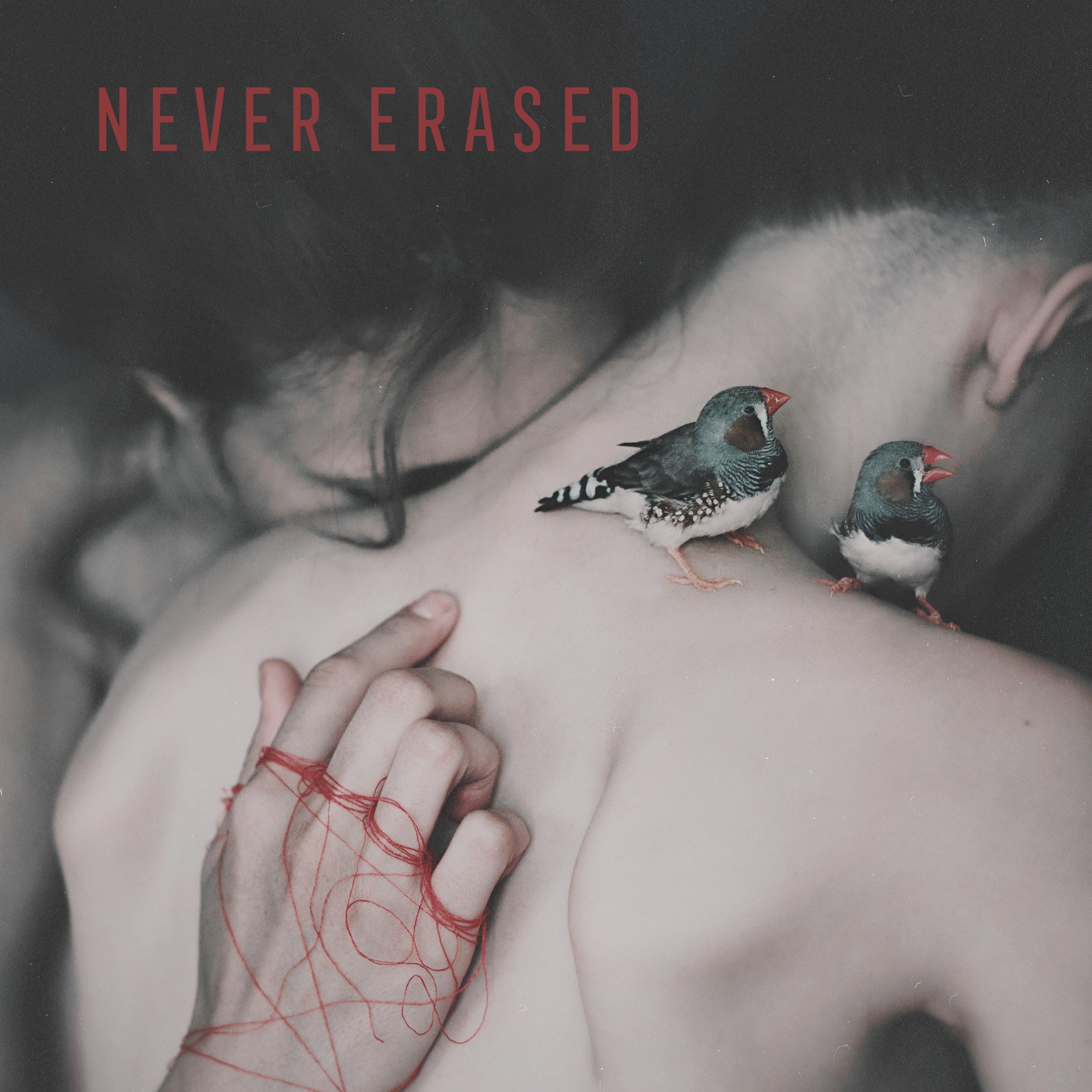 Never Erased (LP)