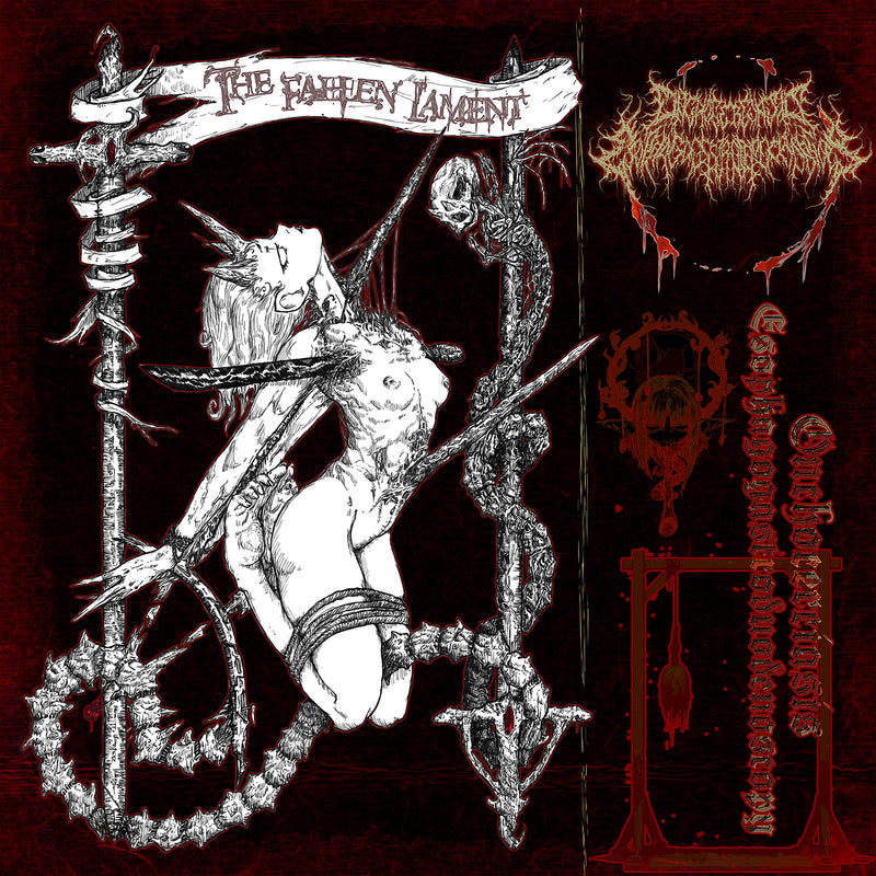 Onchocerciasis Esophagogastroduodenoscopy - The Fallen Lament (CD)