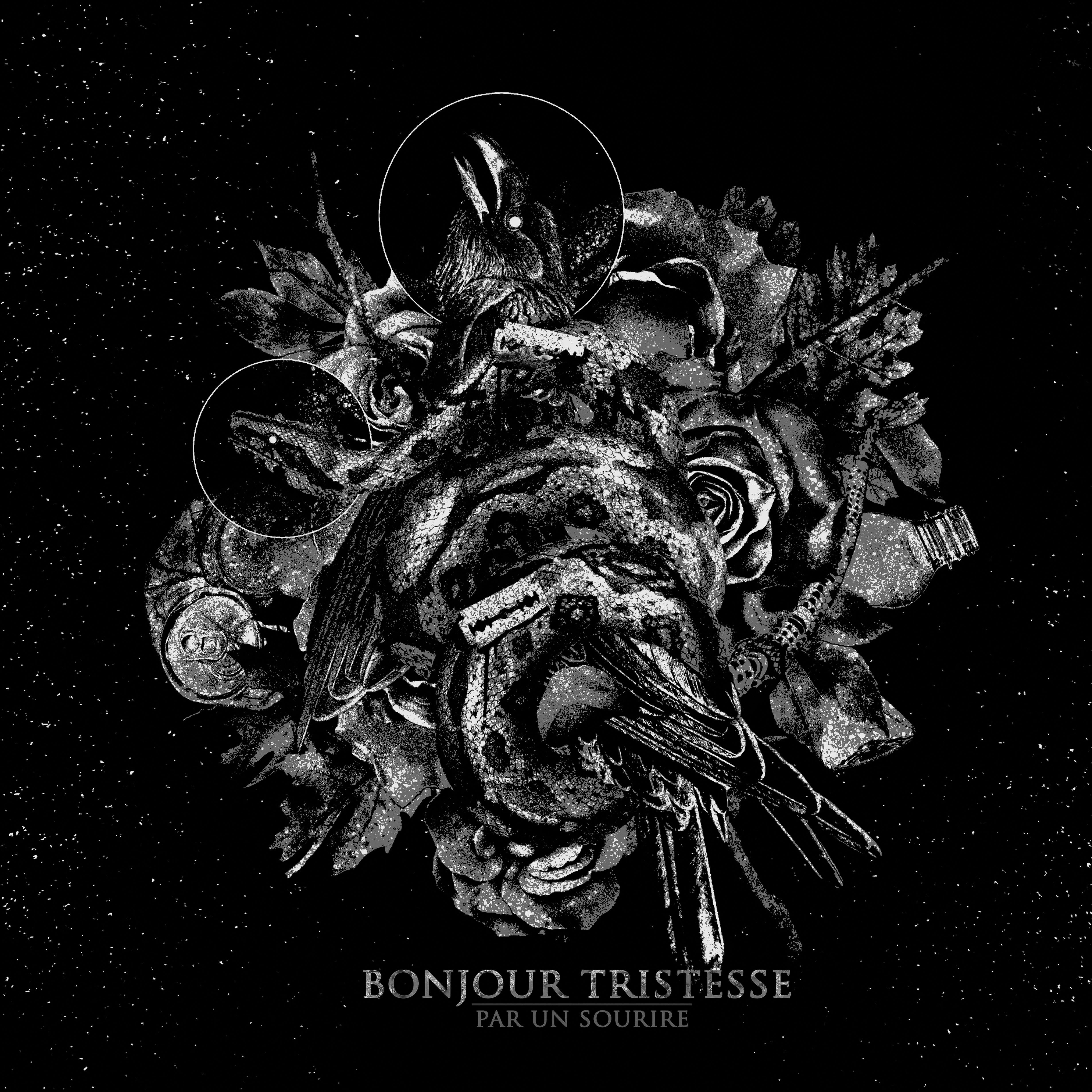 Bonjour Tristesse - Par Un Sourire [black] (LP)