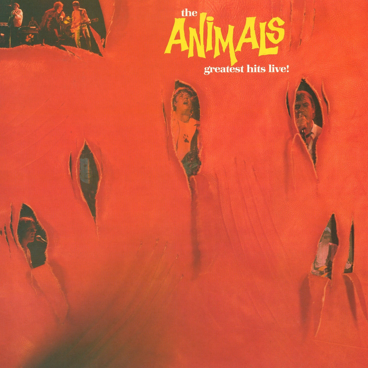 Animals - Greatest Hits Live (Blue Vinyl) (LP)