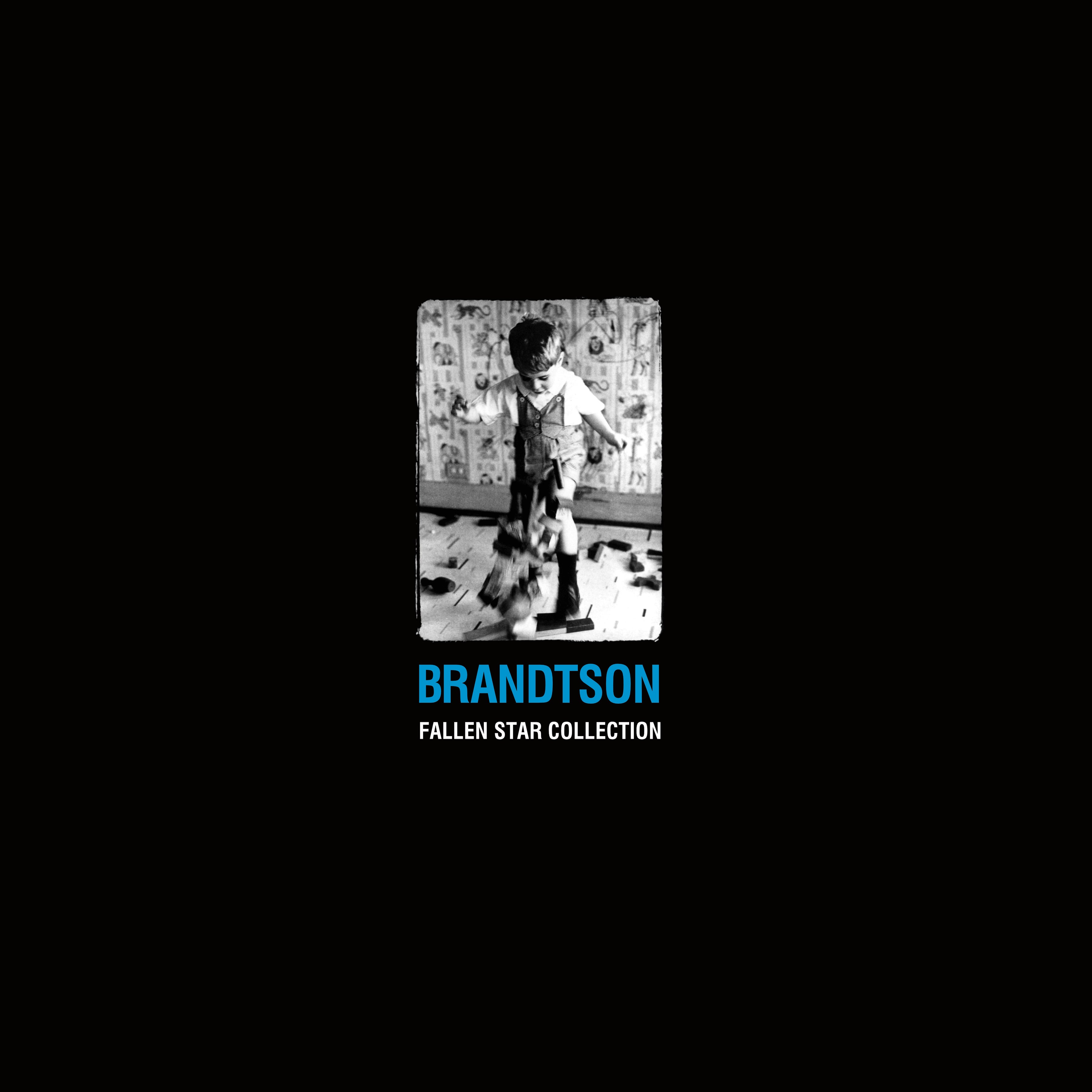 Brandtson - Fallen Star Collection (LP)