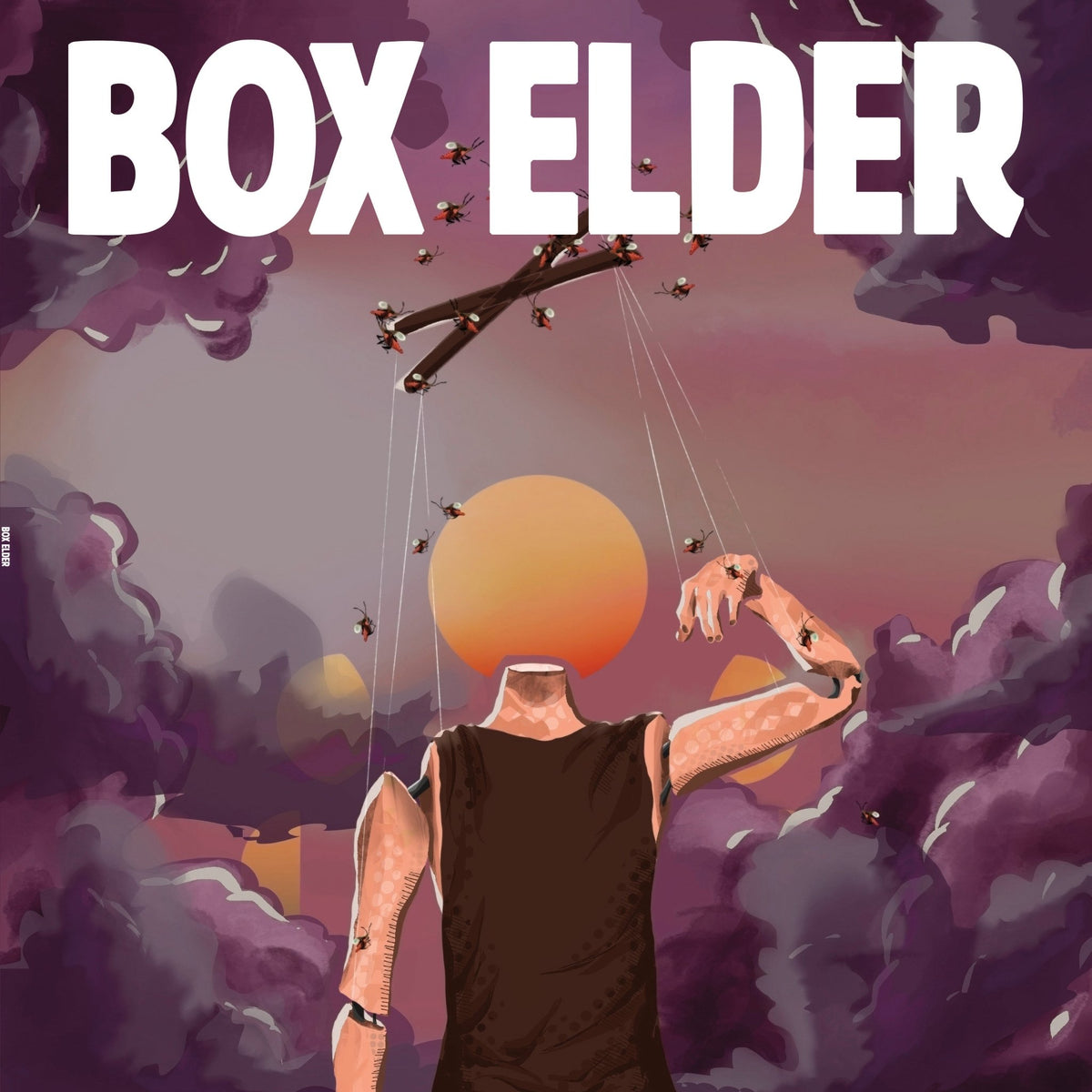 Box Elder - Box Elder (LP)