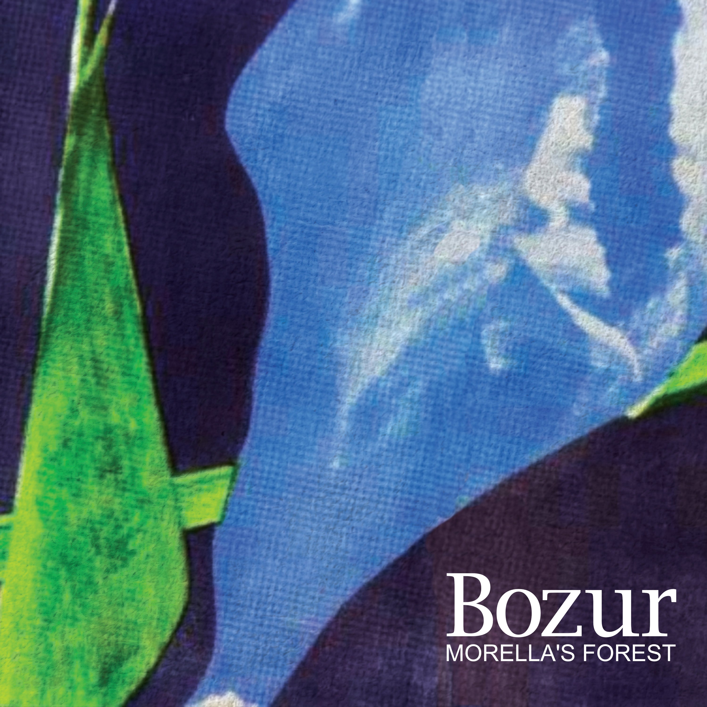 Morella's Forest - Bozur (CD)