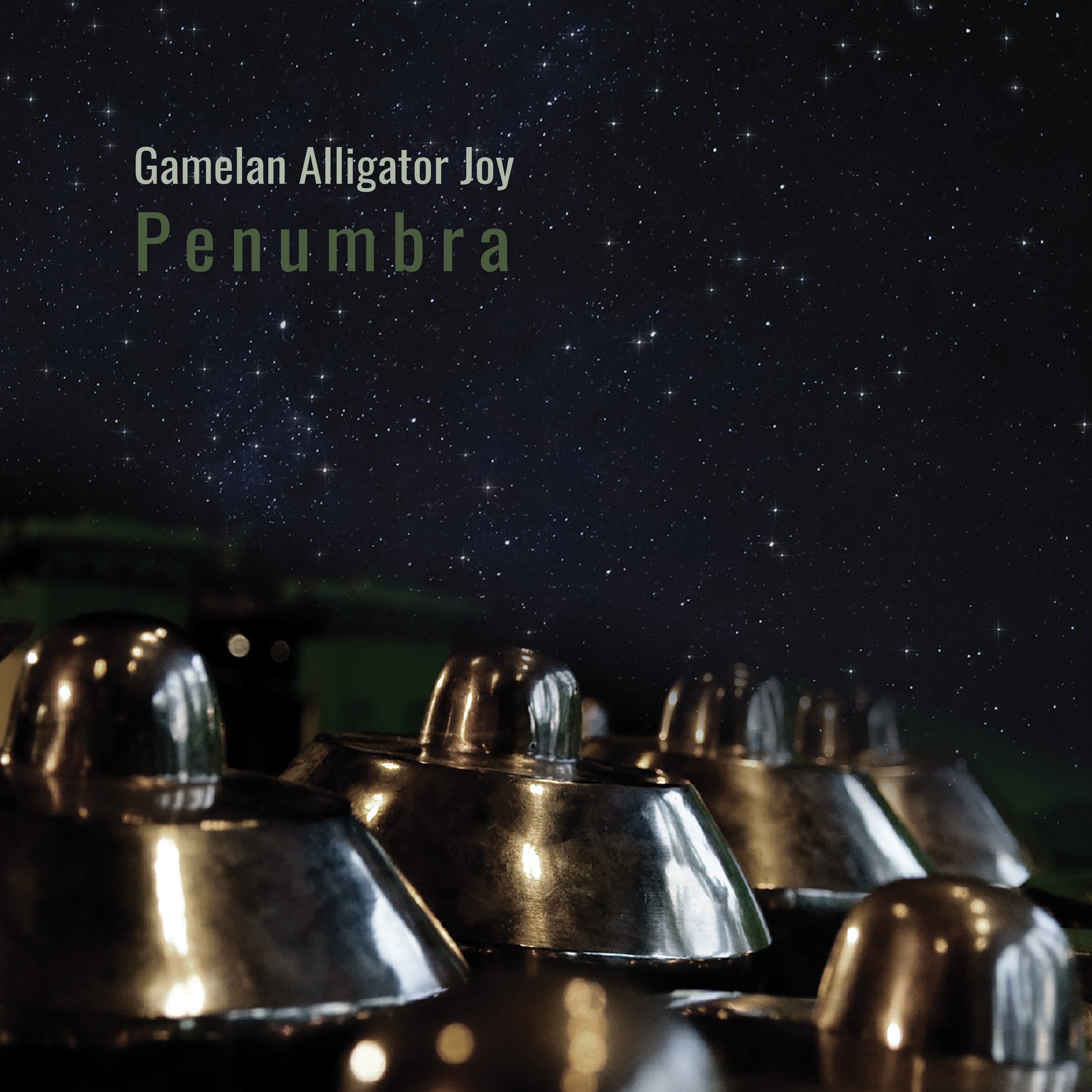 Gamelan Alligator Joy - Penumbra (CD)