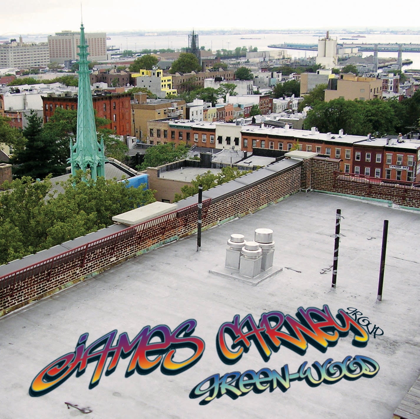 James Carney Group - Green-wood  (CD)