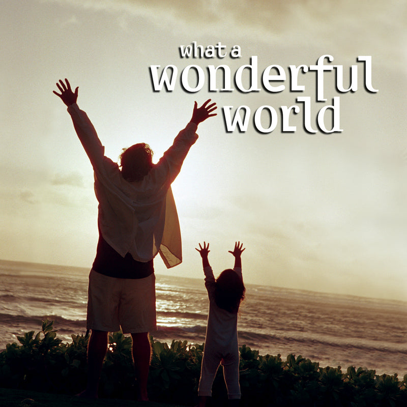 What A Wonderful World (CD)