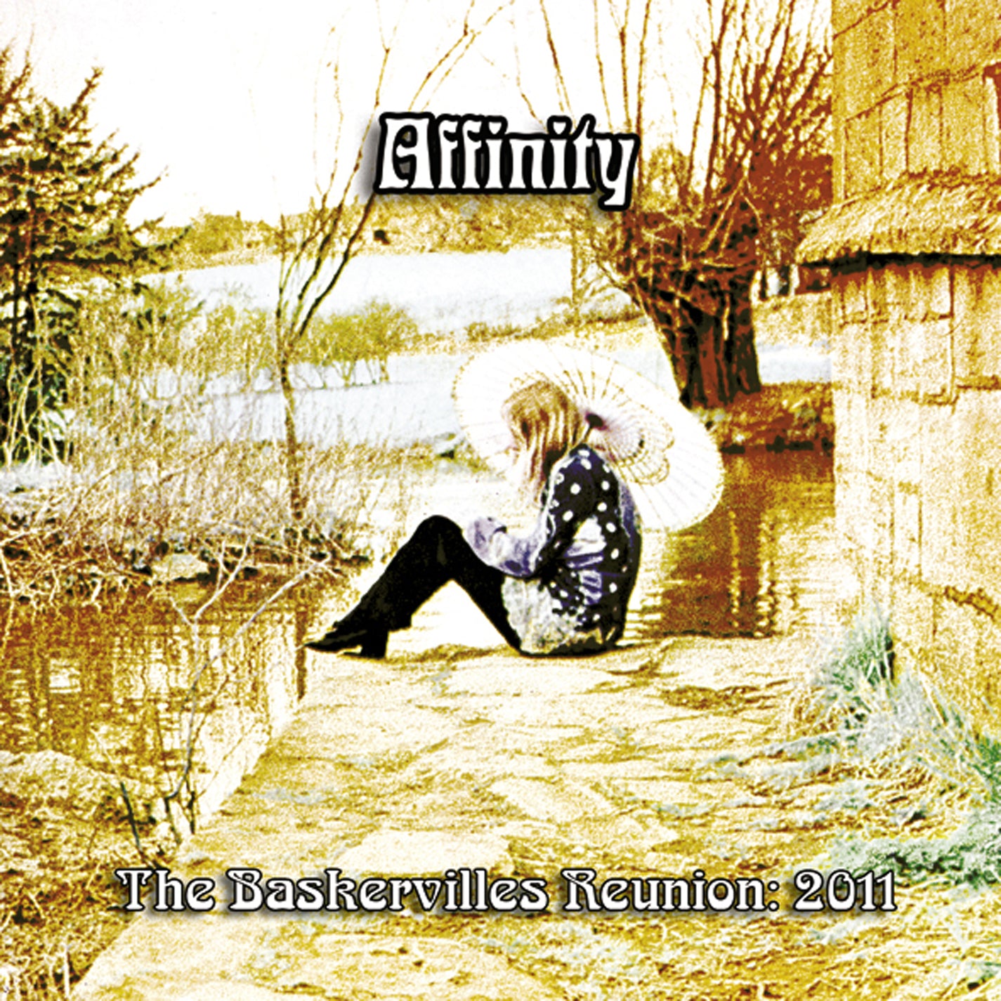 Affinity - The Baskervilles Reunion 2011 (CD)