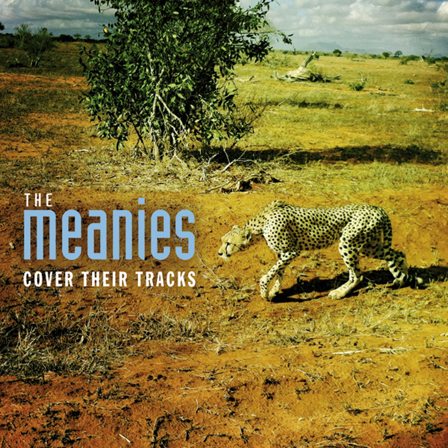 Meanies - Cover Their Tracks (CD)