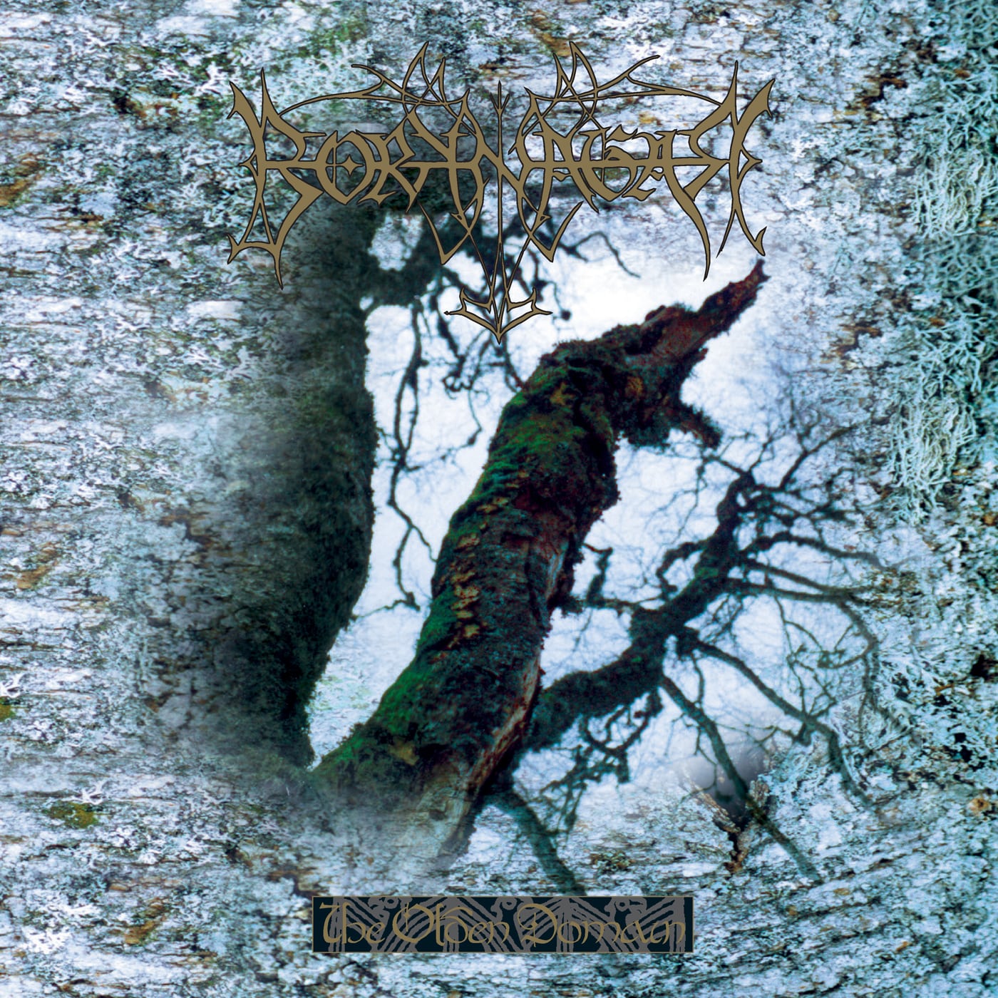 Borknagar - The Olden Domain [Red LP in Deluxe Triple Gatefold] (LP)