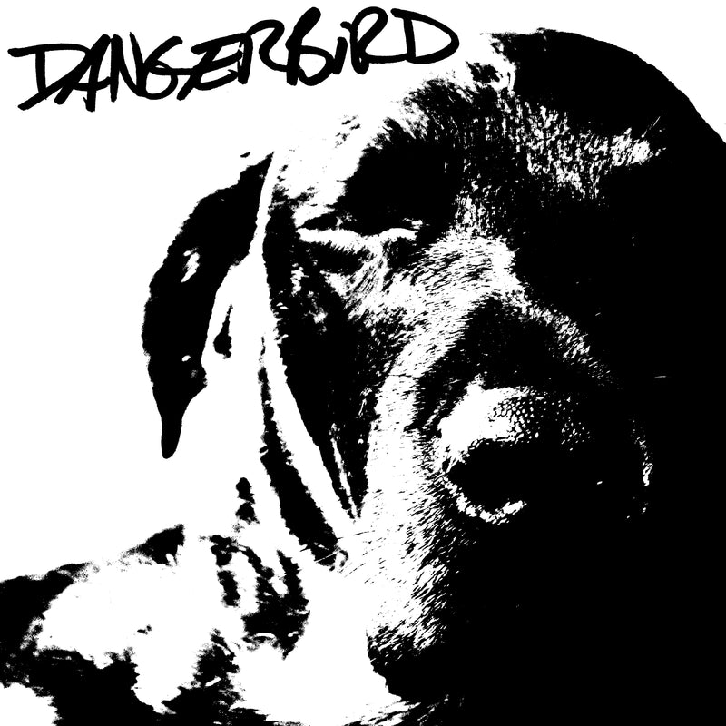 Dangerbird - Johnny (CD)