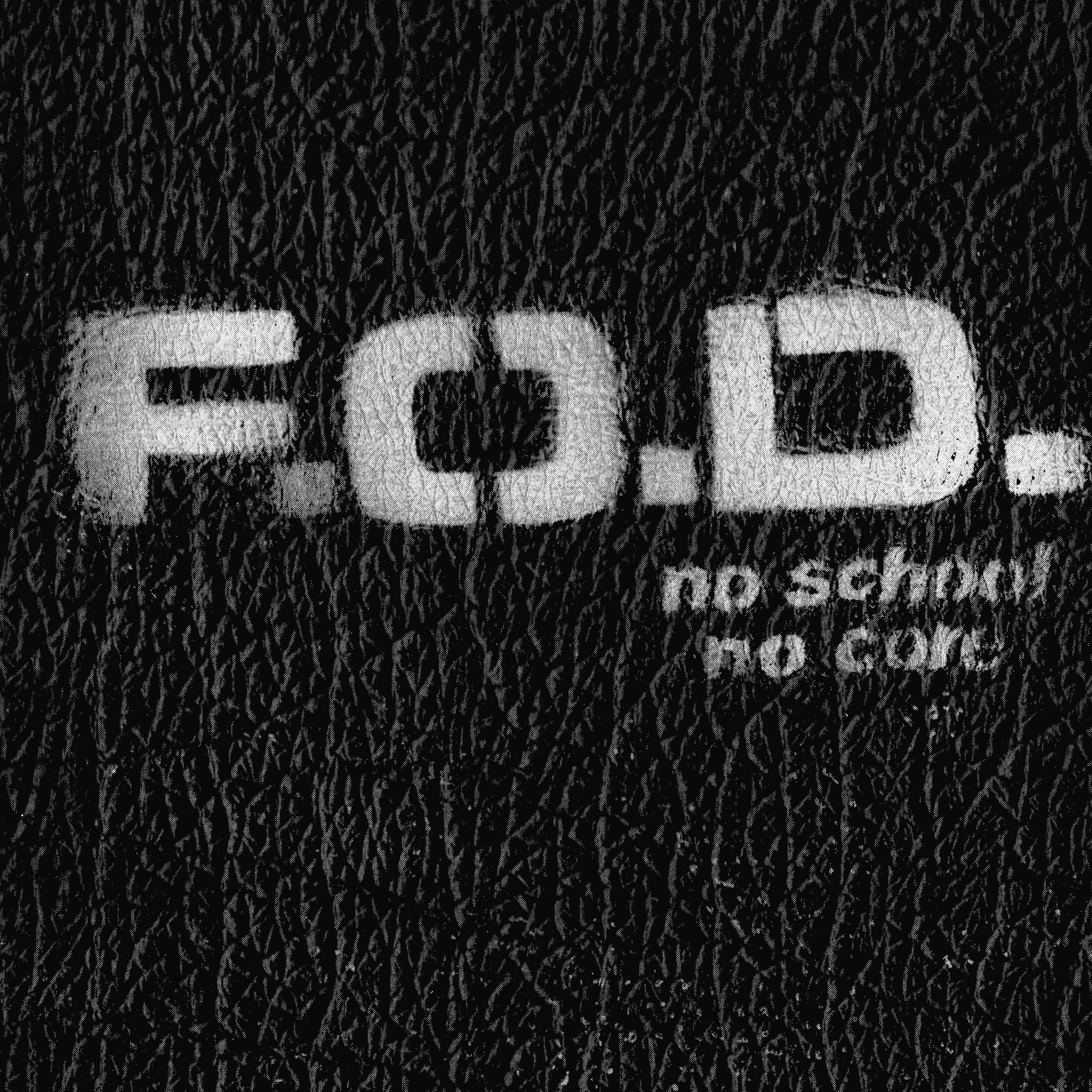 Flag Of Democracy (FOD) - No School, No Core (LP)
