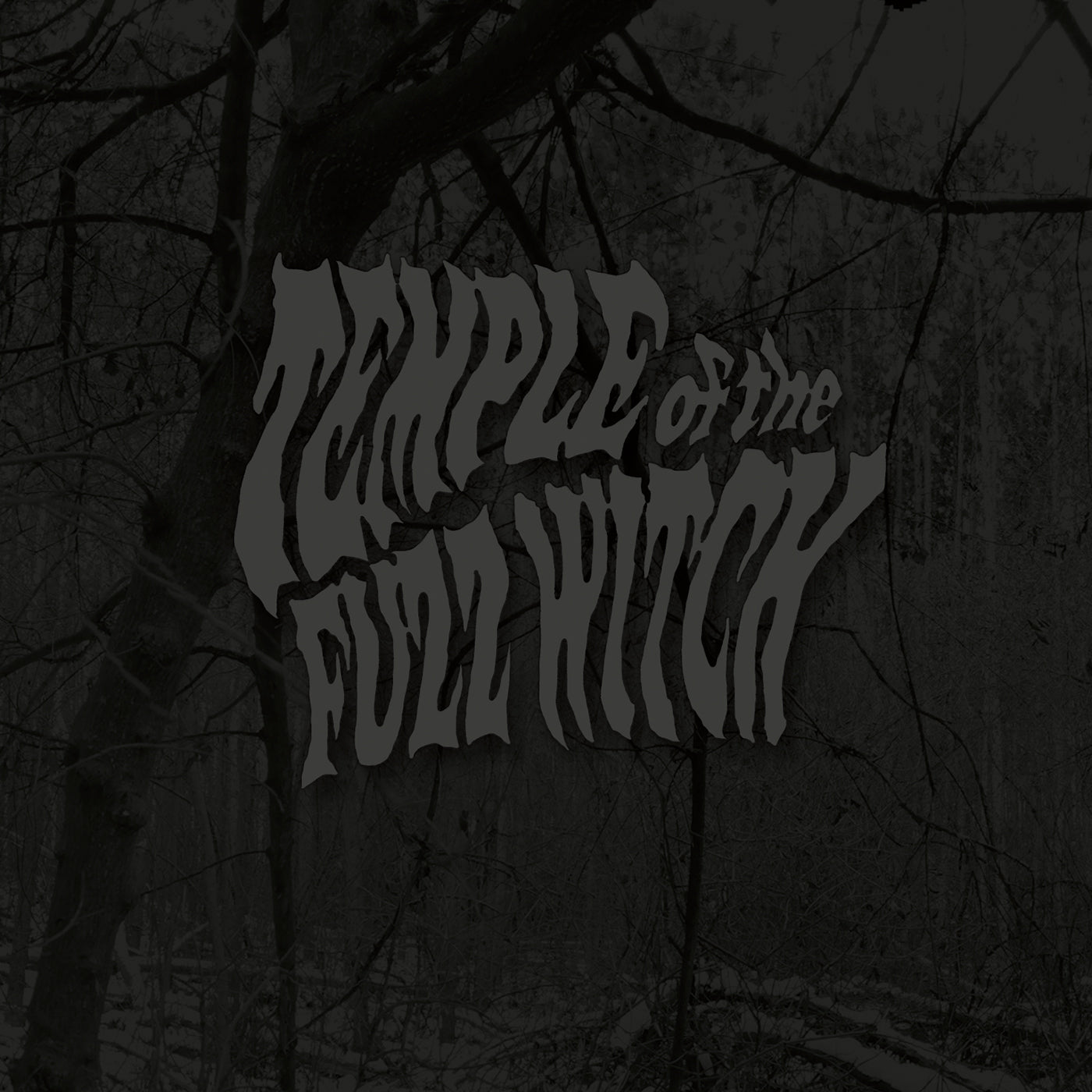 Temple Of The Fuzz Witch - Temple Of The Fuzz Witch (LP)