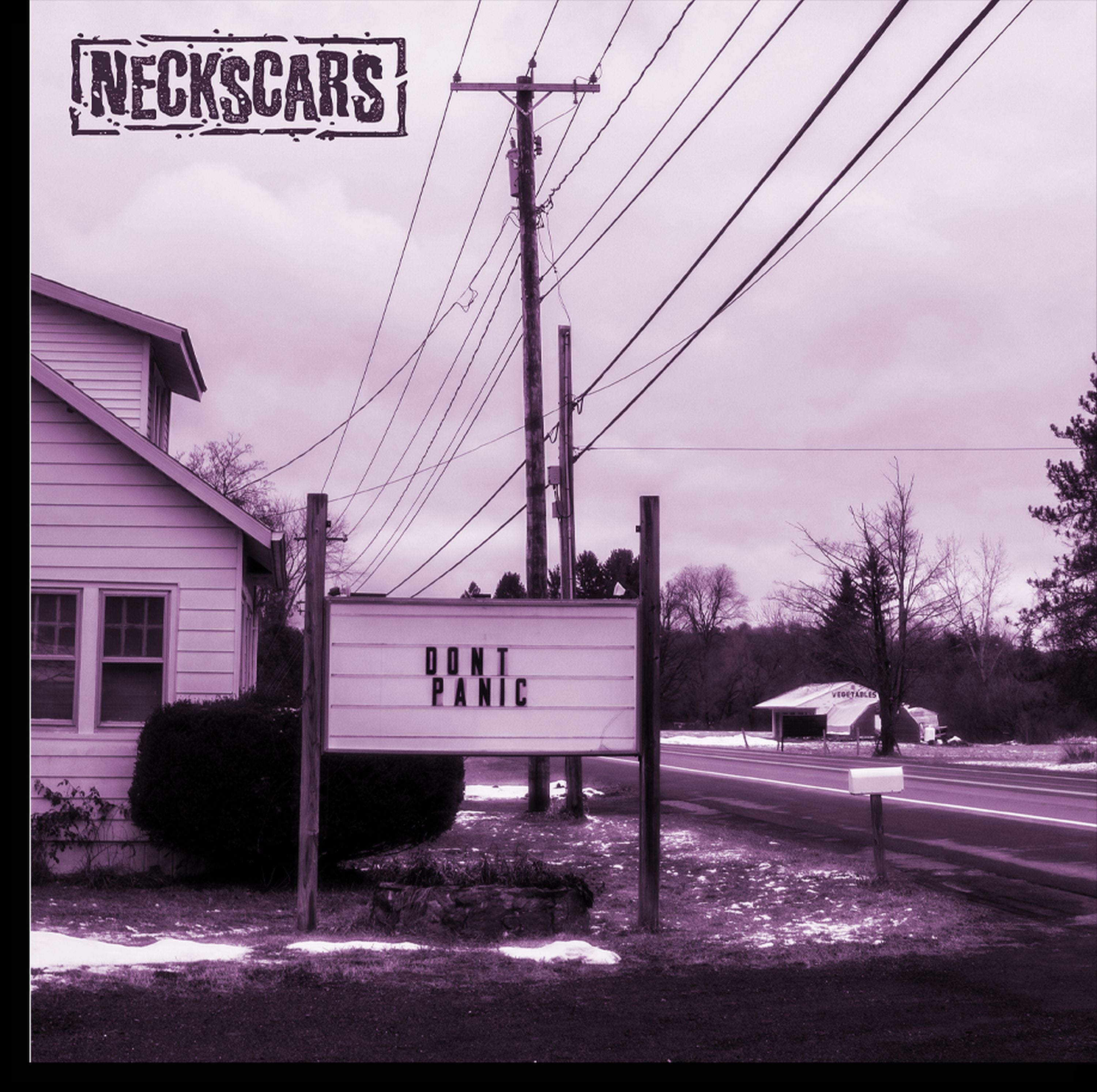 Neckscars - Don't Panic (LP)