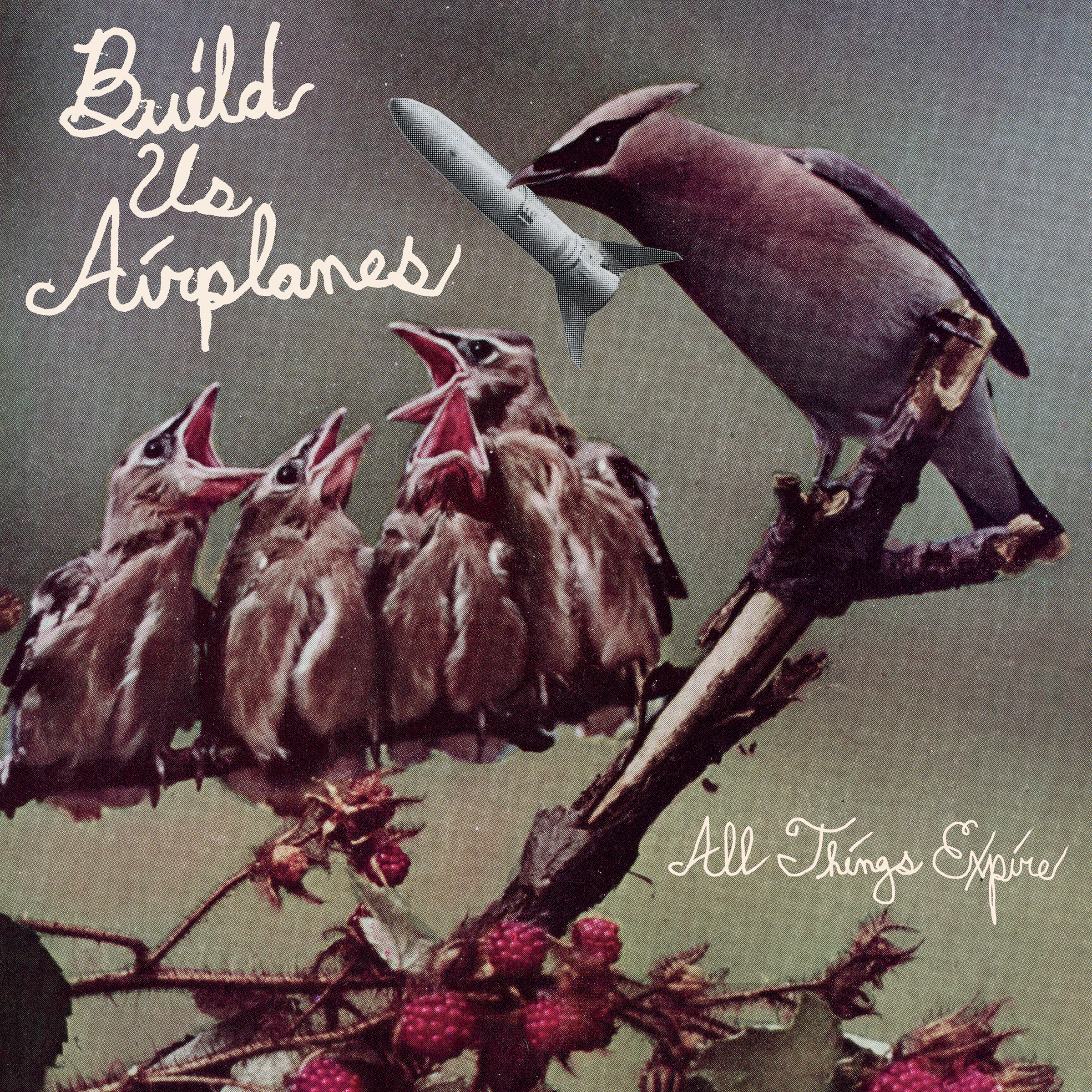 Build Us Airplanes - All Things Expire (LP)