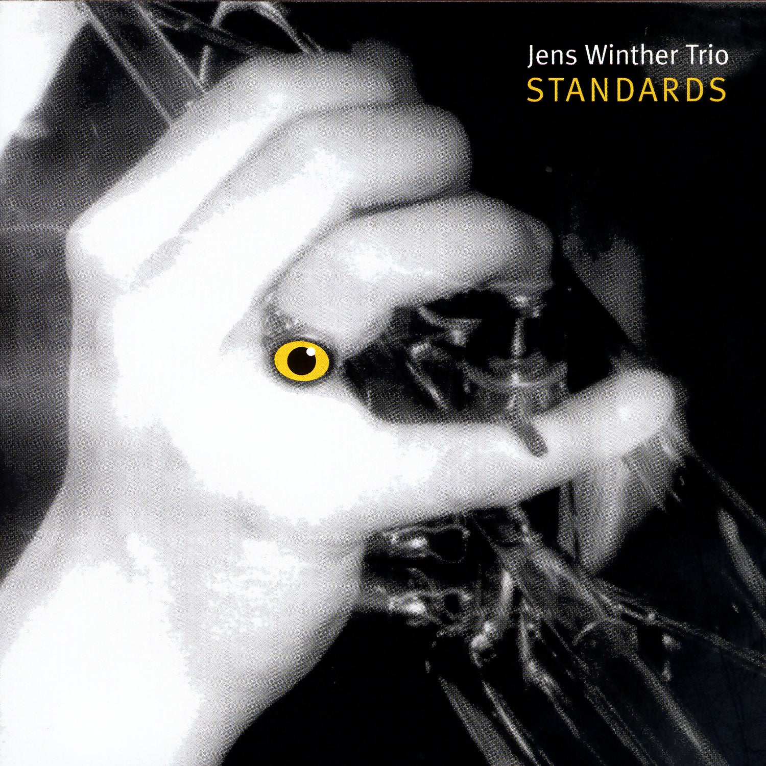 Jens Winther Trio - Standards (CD)