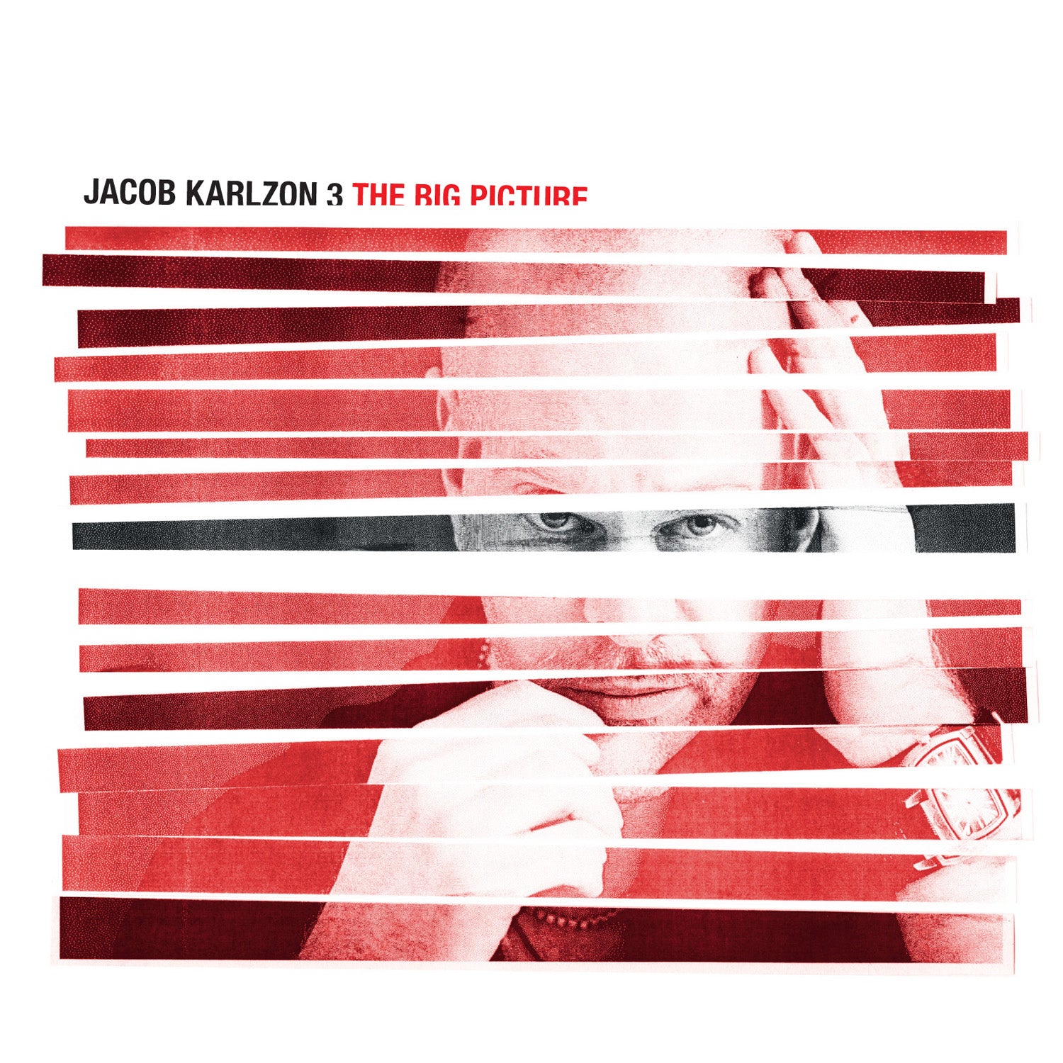 Jacob Karlzon 3 - The Big Picture (CD)