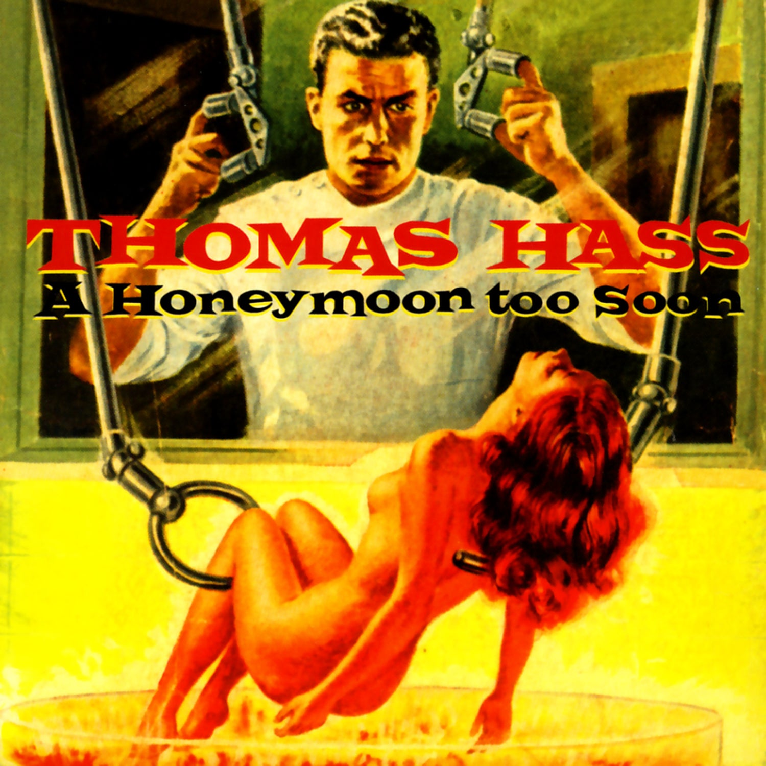 Thomas Hass - A Honeymoon To Soon (CD)