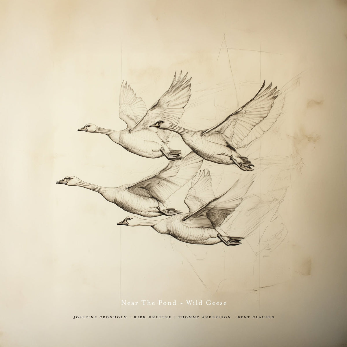 Near The Pond - Wild Geese (CD)